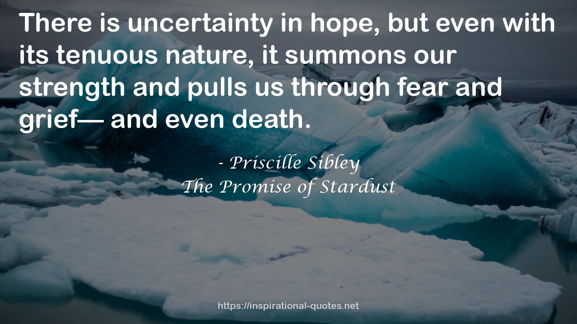 The Promise of Stardust QUOTES
