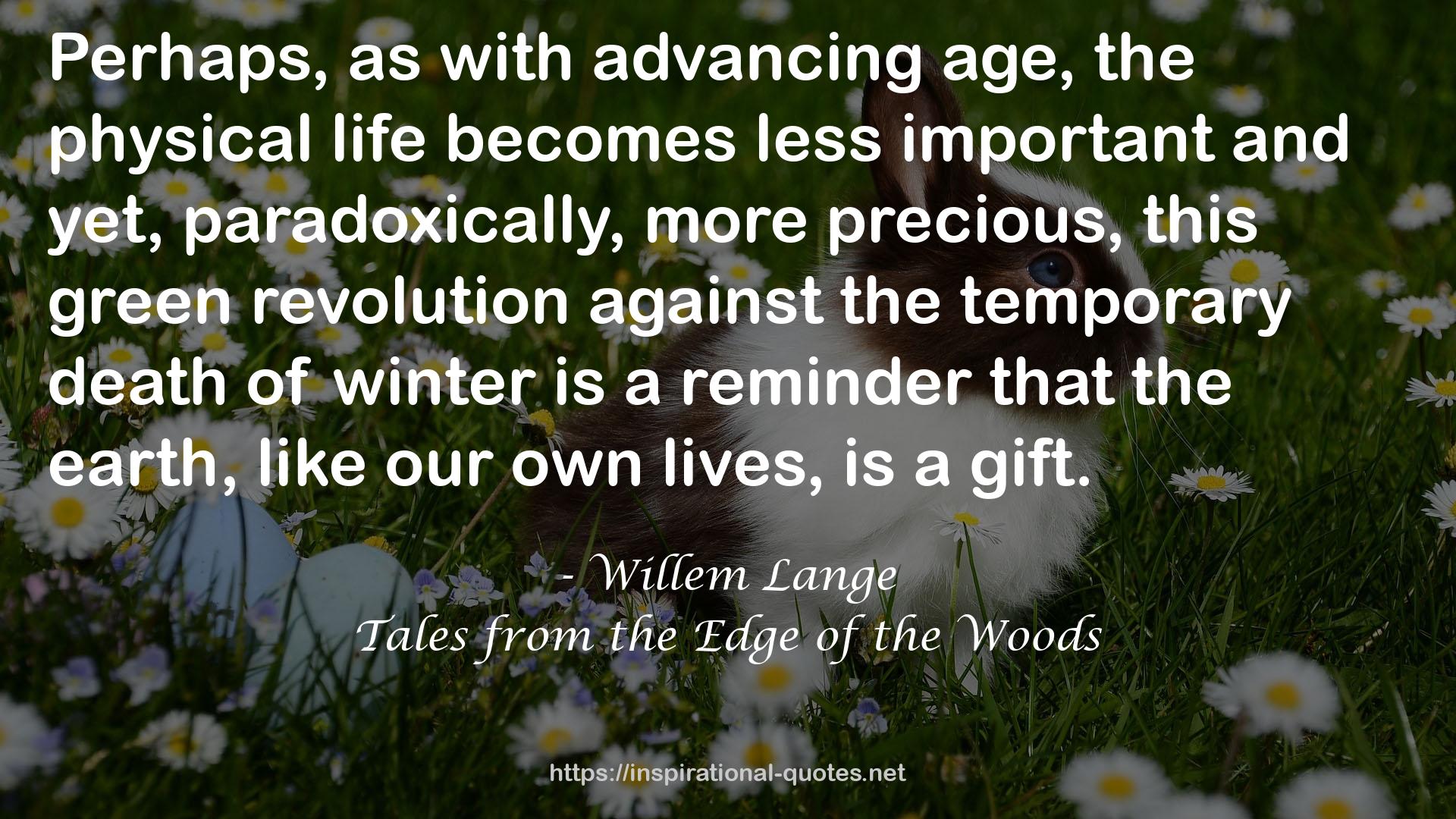 Tales from the Edge of the Woods QUOTES