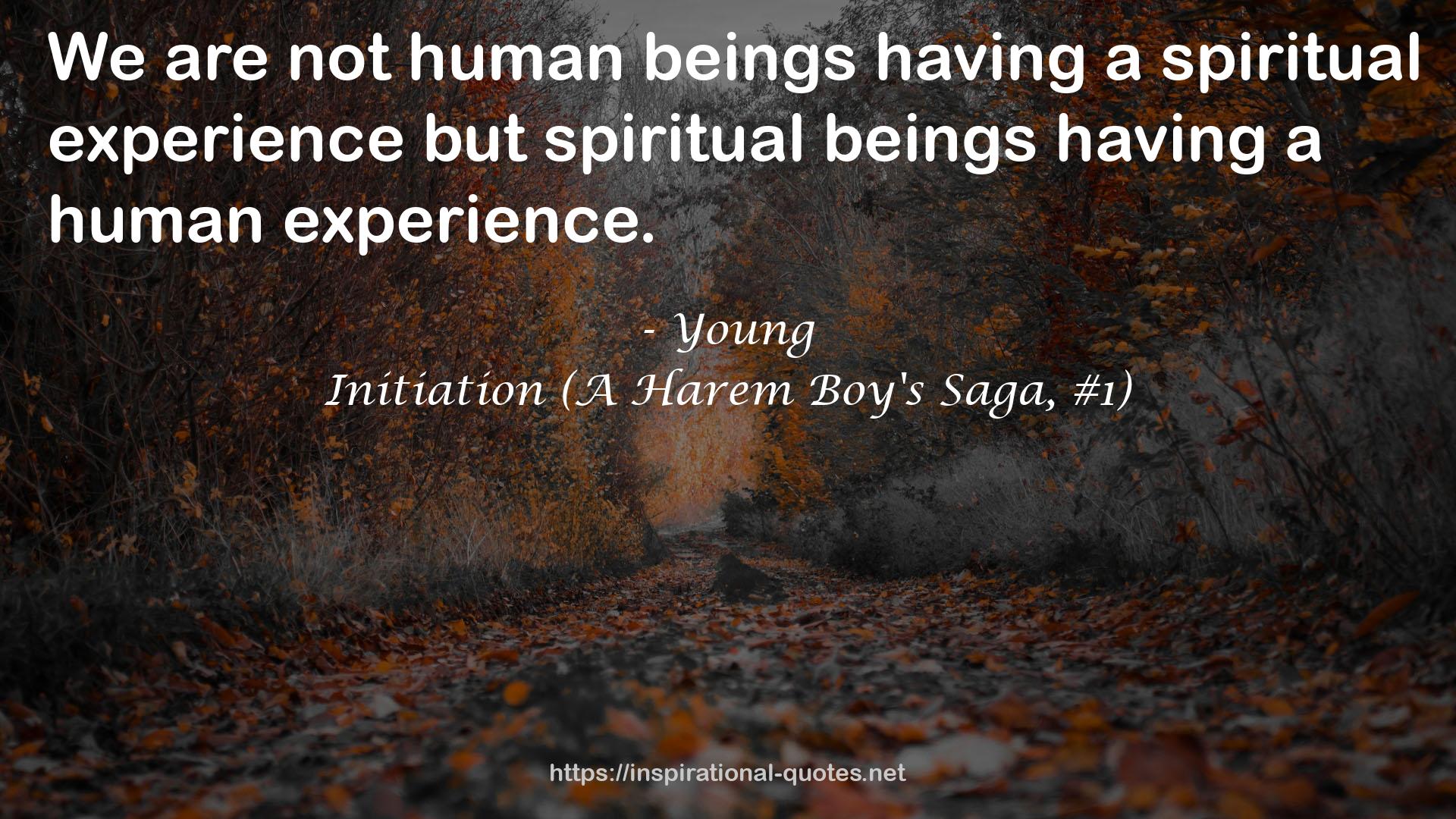 Initiation (A Harem Boy's Saga, #1) QUOTES