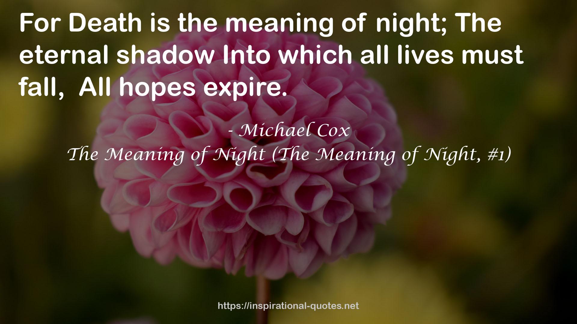 The Meaning of Night (The Meaning of Night, #1) QUOTES
