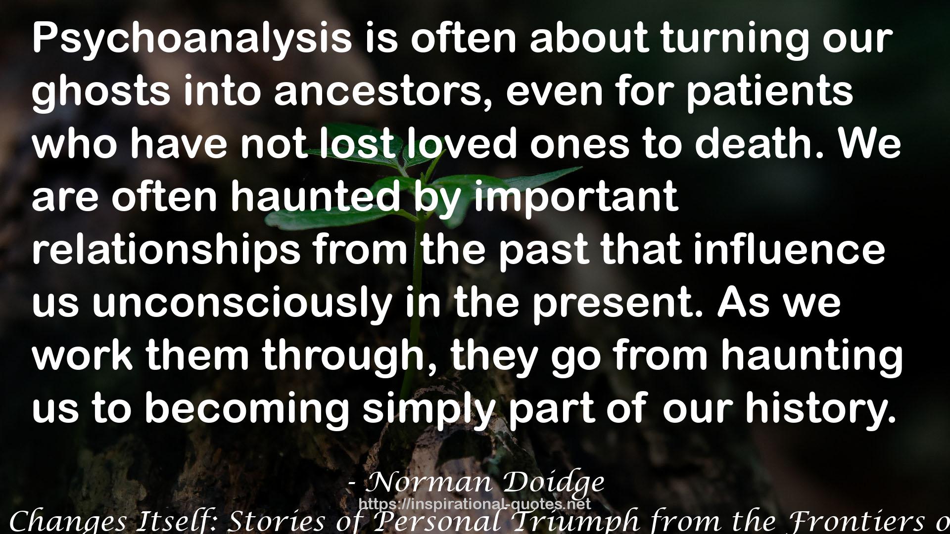 Norman Doidge QUOTES