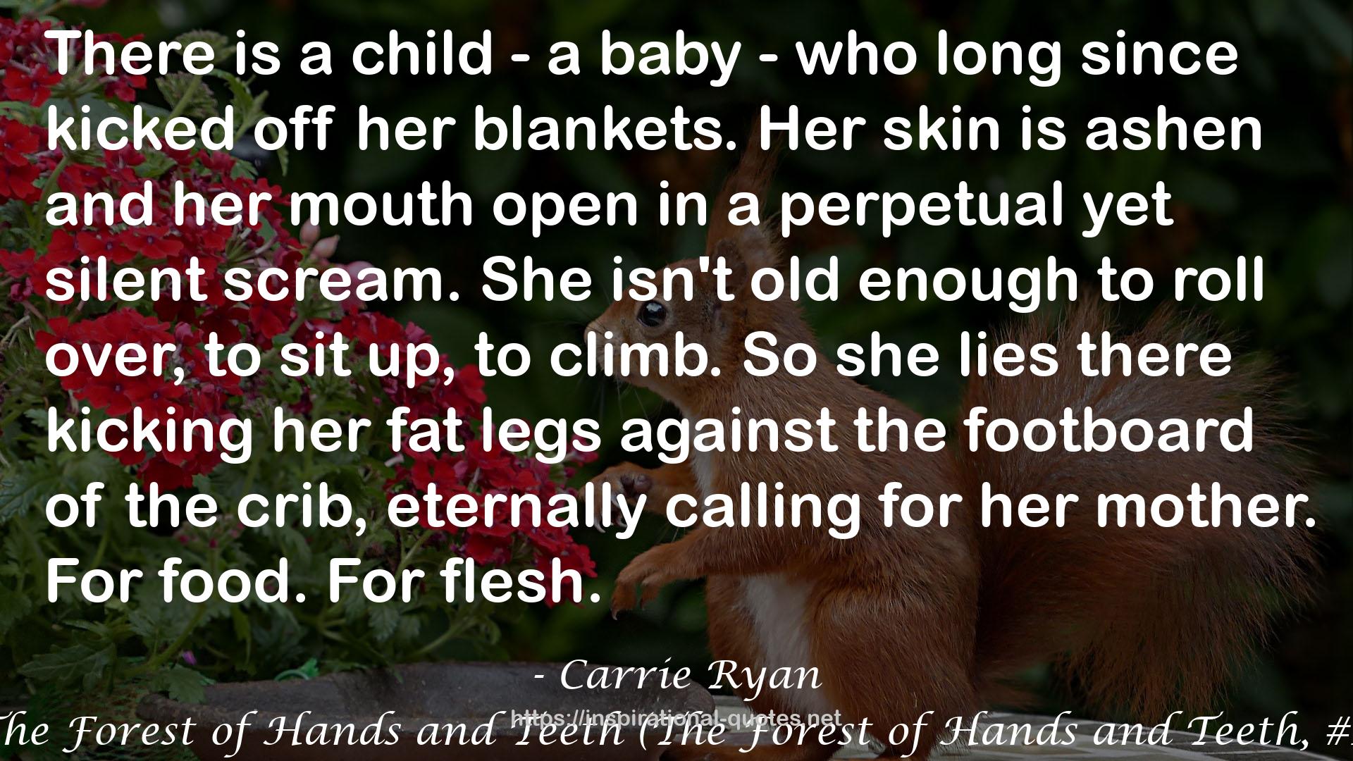 The Forest of Hands and Teeth (The Forest of Hands and Teeth, #1) QUOTES