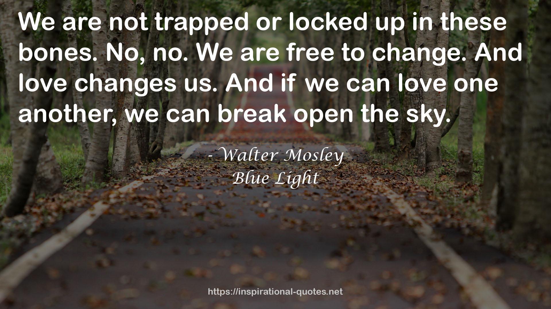 Walter Mosley QUOTES