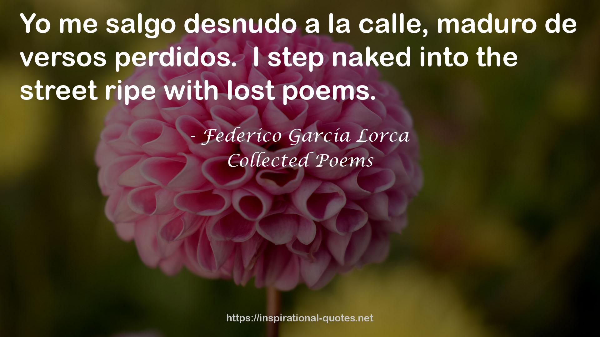 desnudo  QUOTES