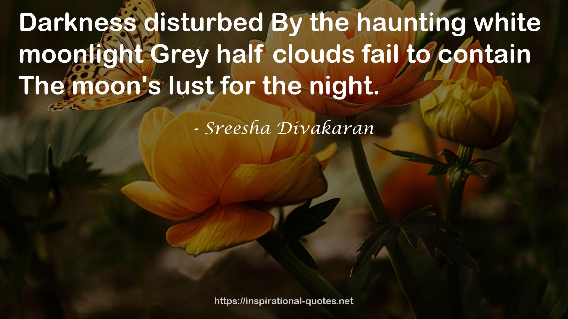 the haunting white moonlightGrey half clouds  QUOTES