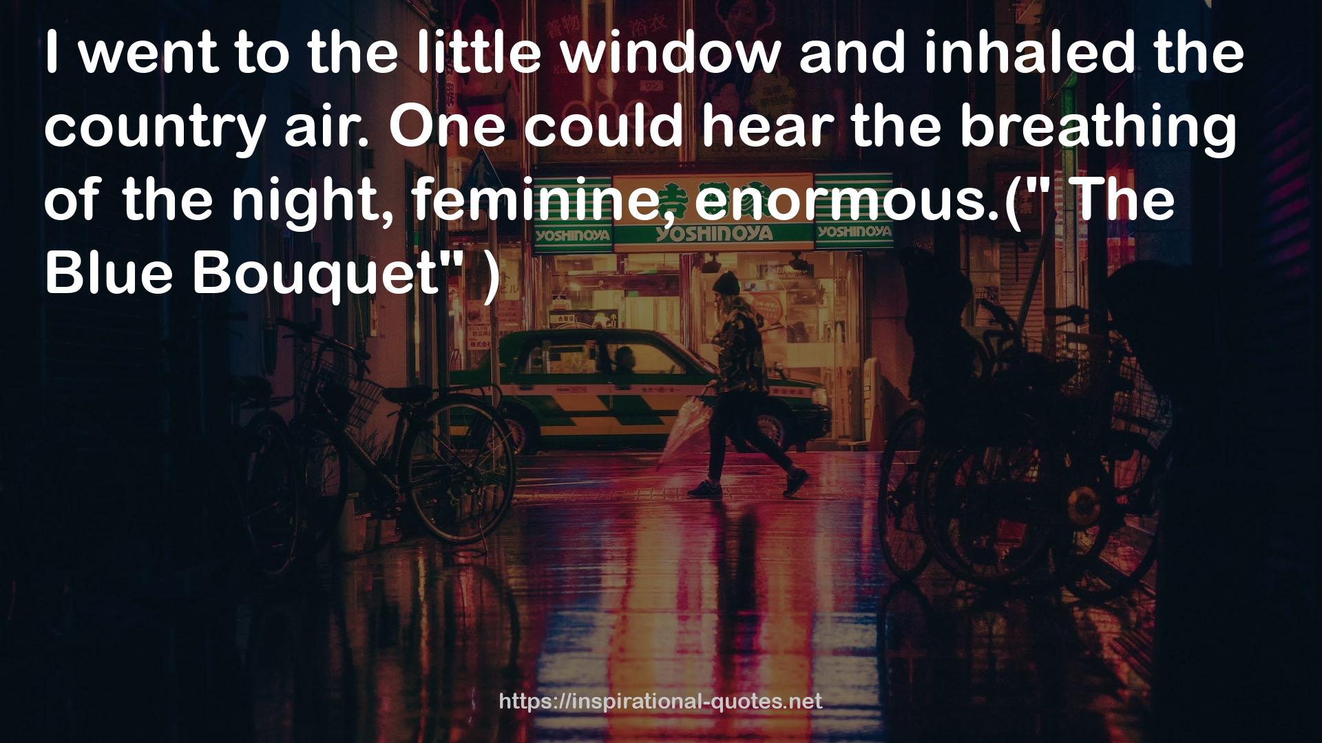 the little window  QUOTES