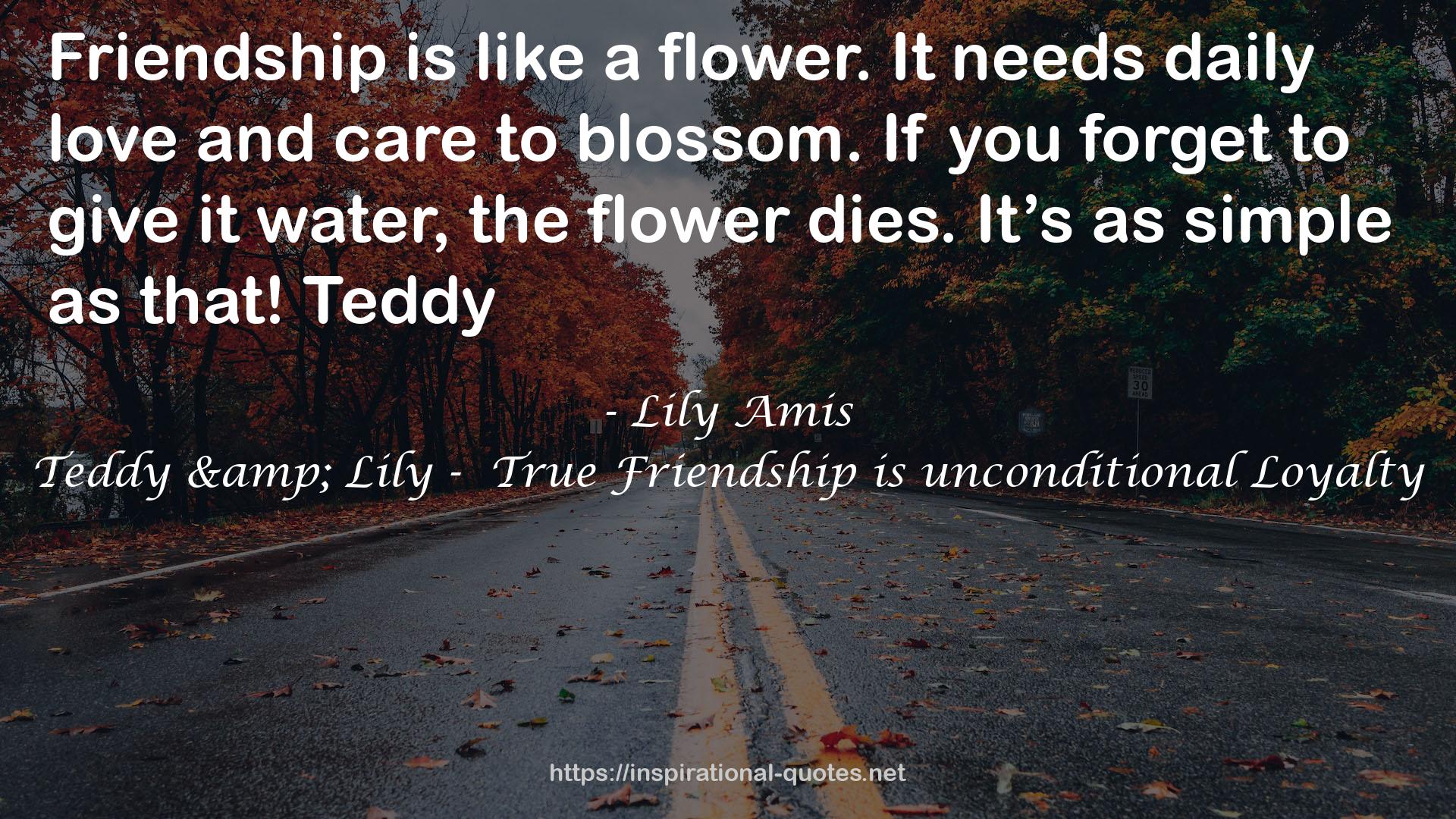 Teddy & Lily -  True Friendship is unconditional Loyalty QUOTES