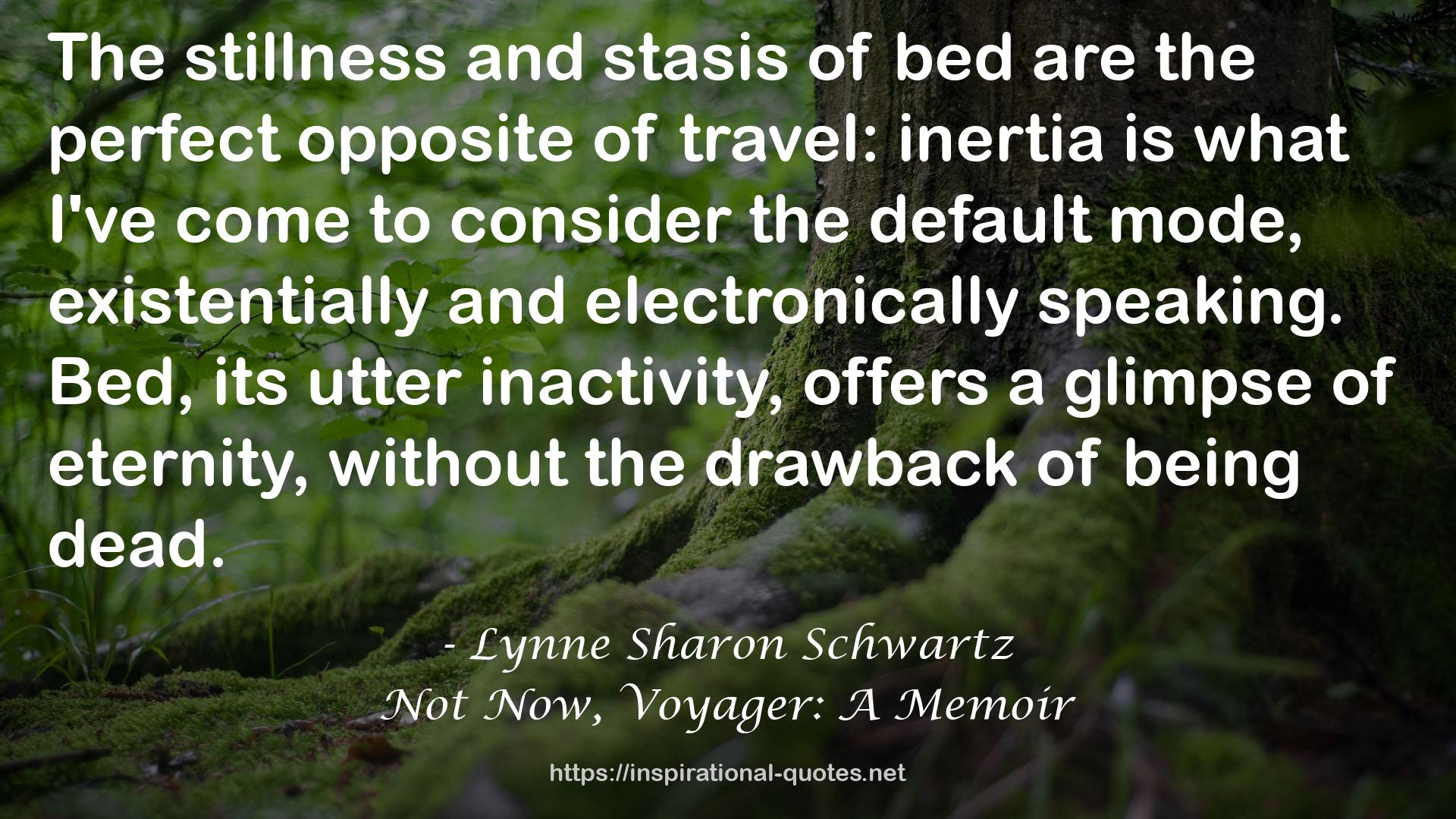 Lynne Sharon Schwartz QUOTES