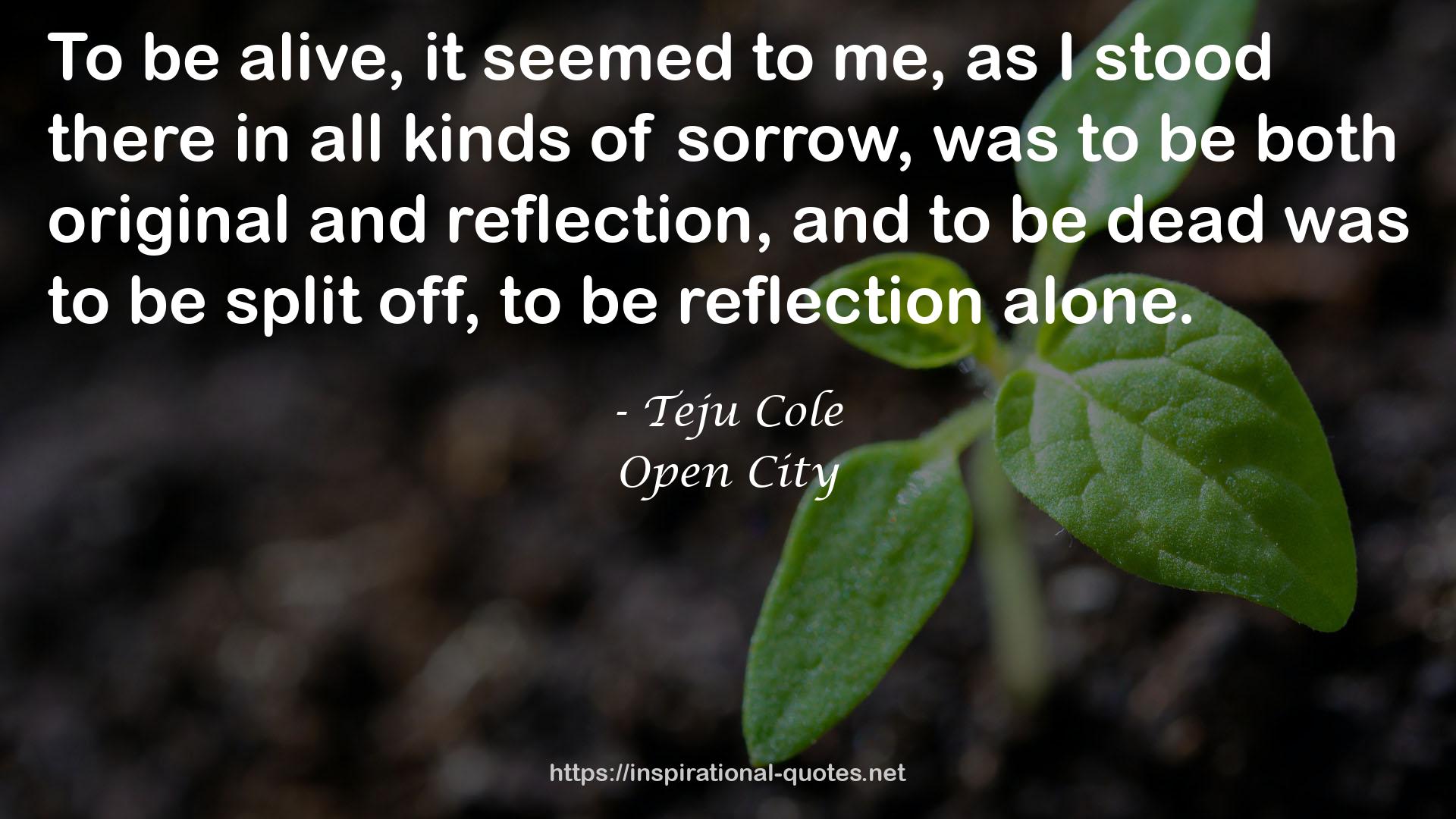 Teju Cole QUOTES