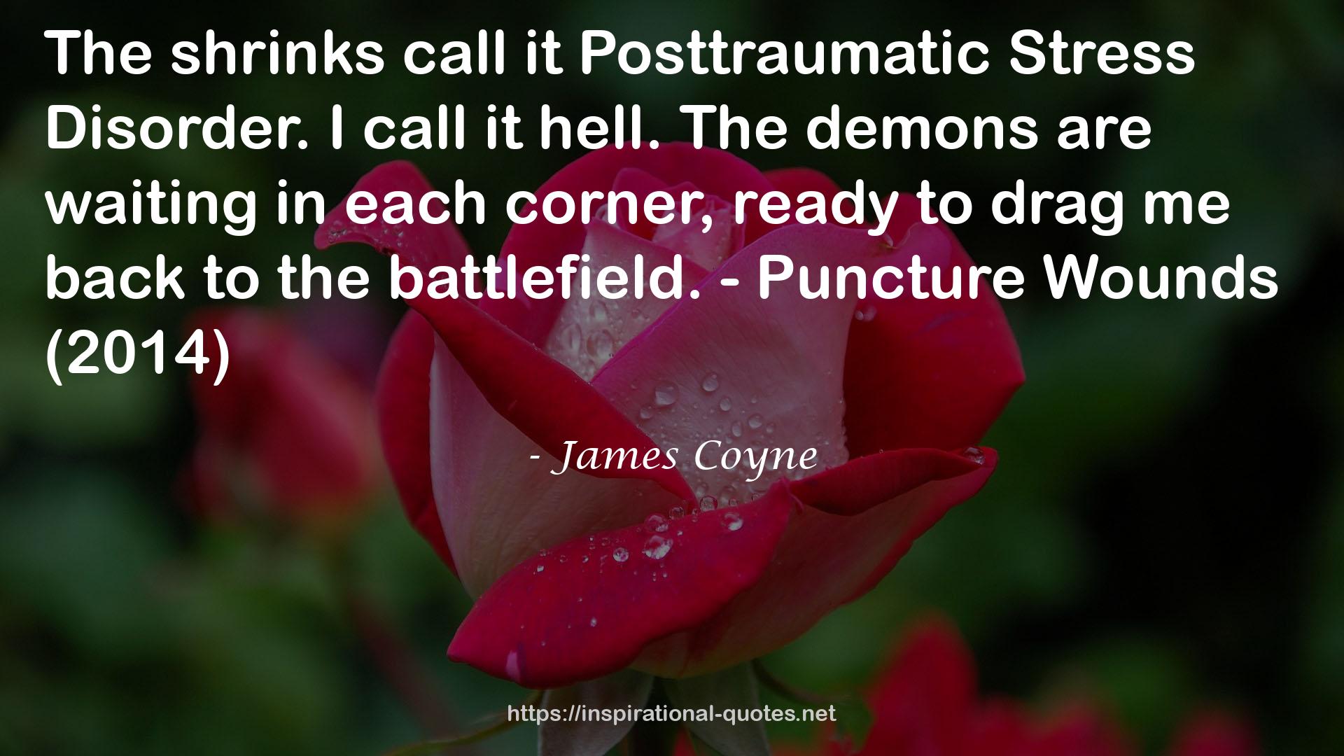 James Coyne QUOTES