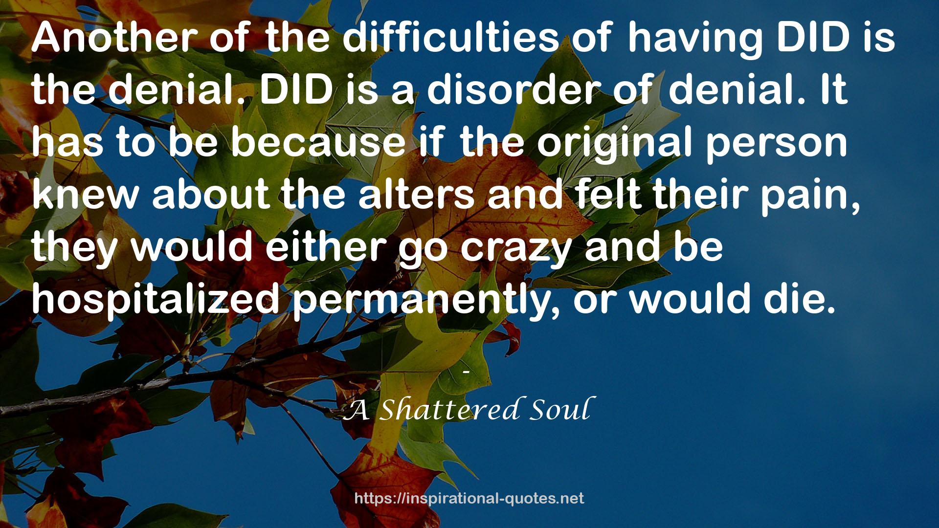 A Shattered Soul QUOTES