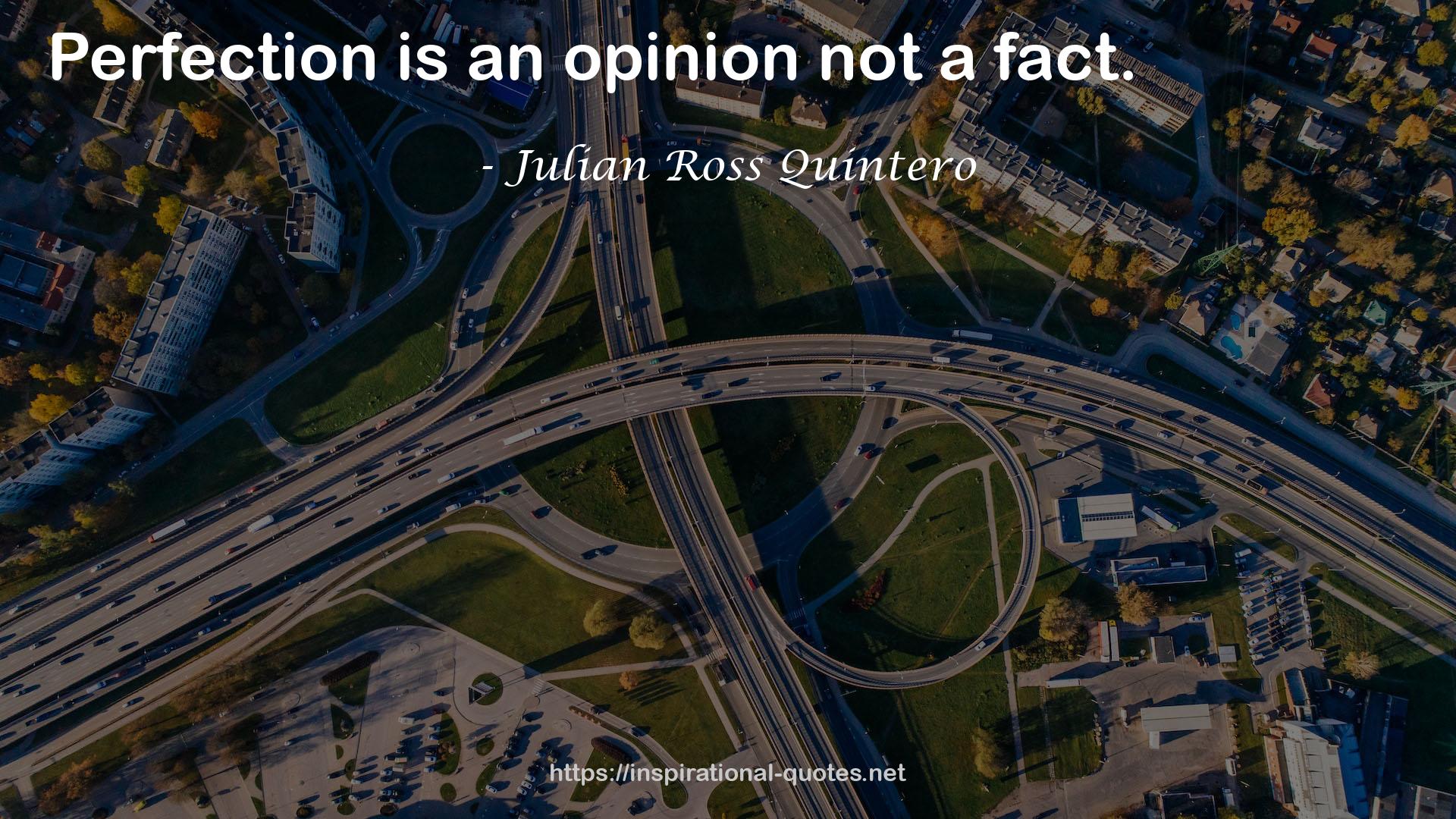 Julian Ross Quintero QUOTES