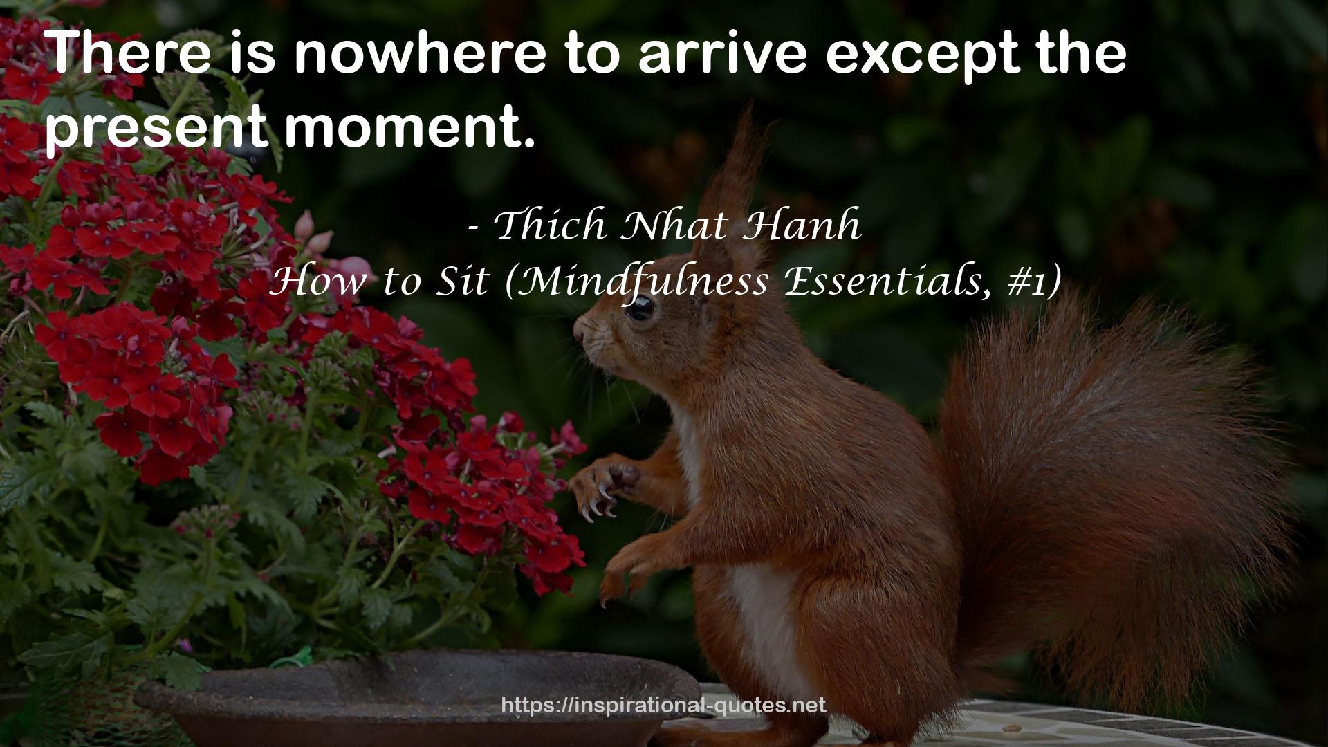 How to Sit (Mindfulness Essentials, #1) QUOTES