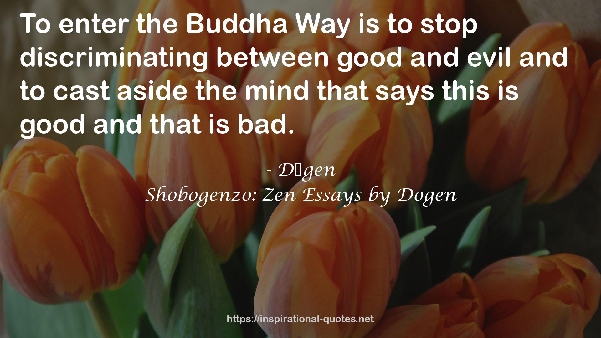 the Buddha Way  QUOTES