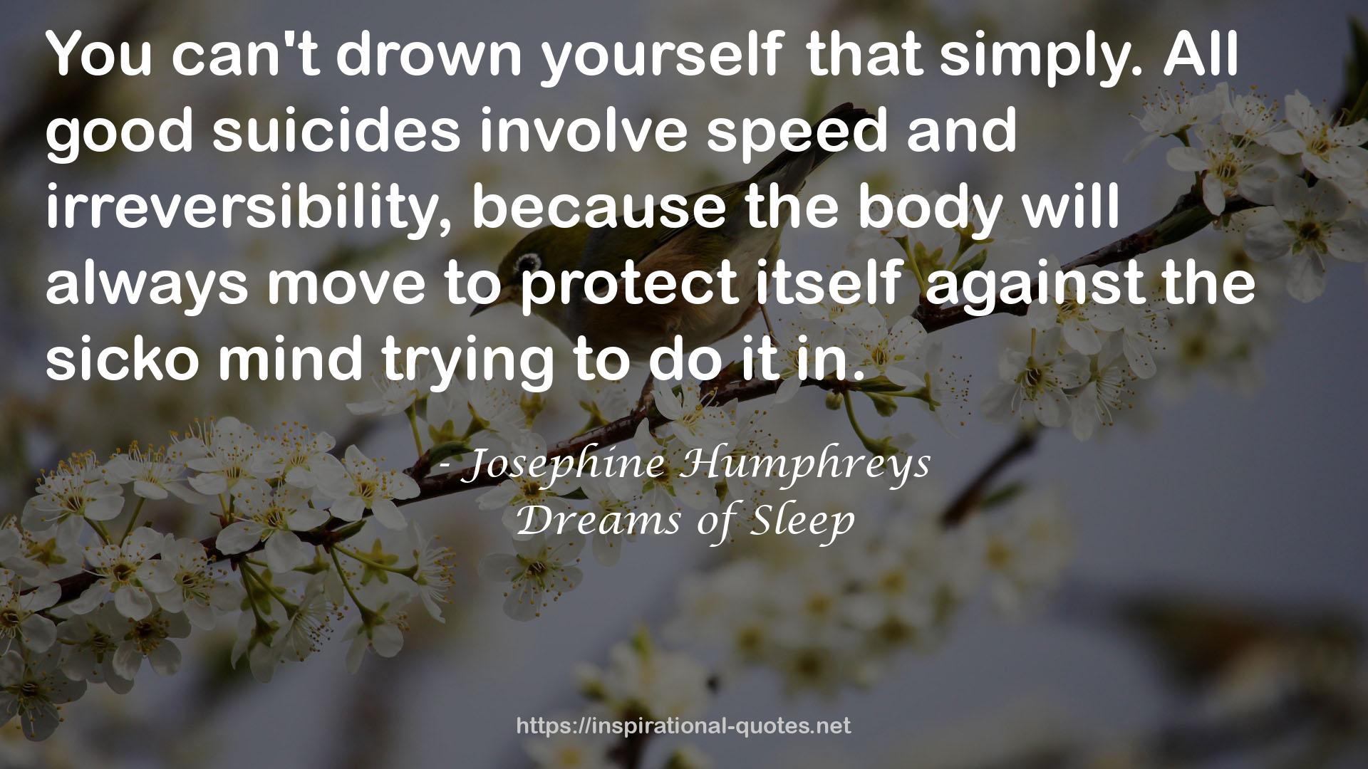 Josephine Humphreys QUOTES