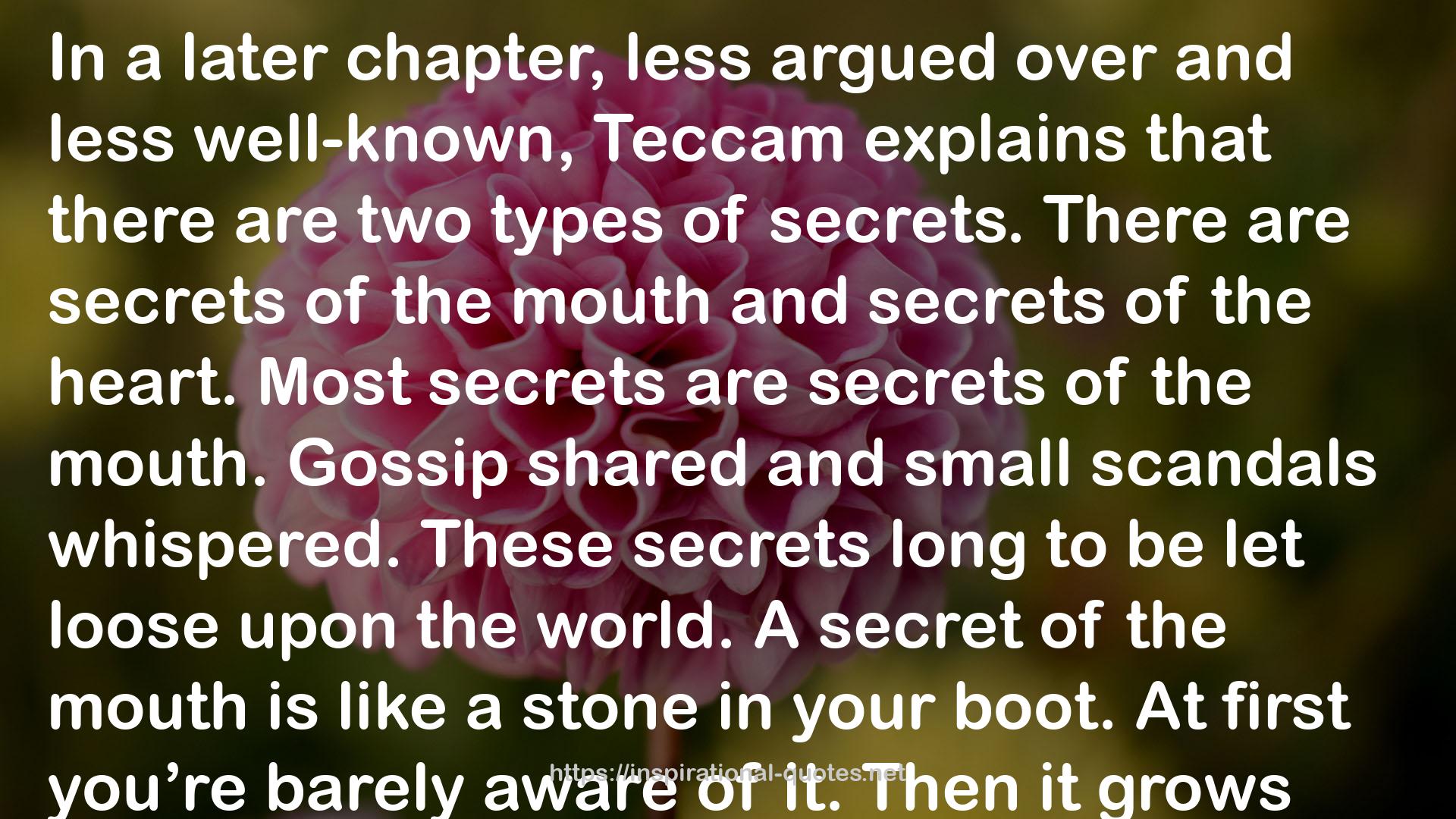 Teccam  QUOTES