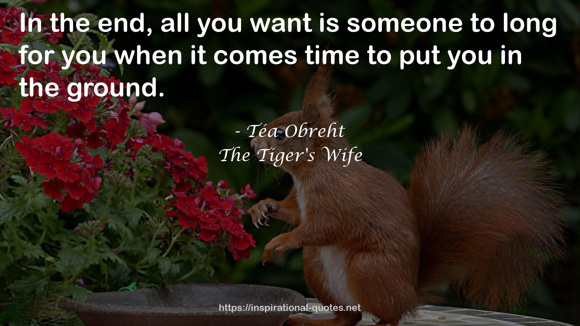 The Tiger's Wife QUOTES