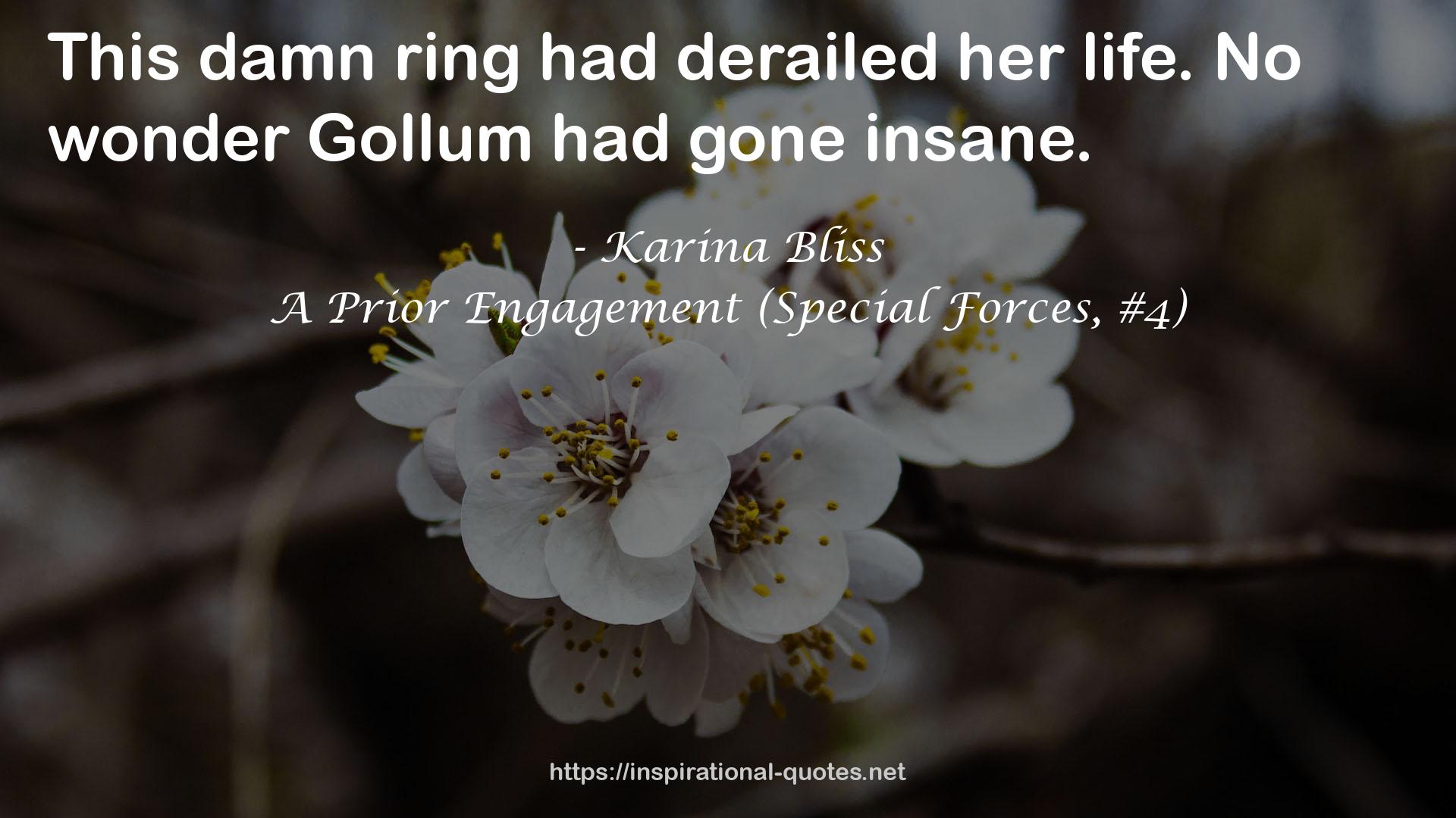A Prior Engagement (Special Forces, #4) QUOTES