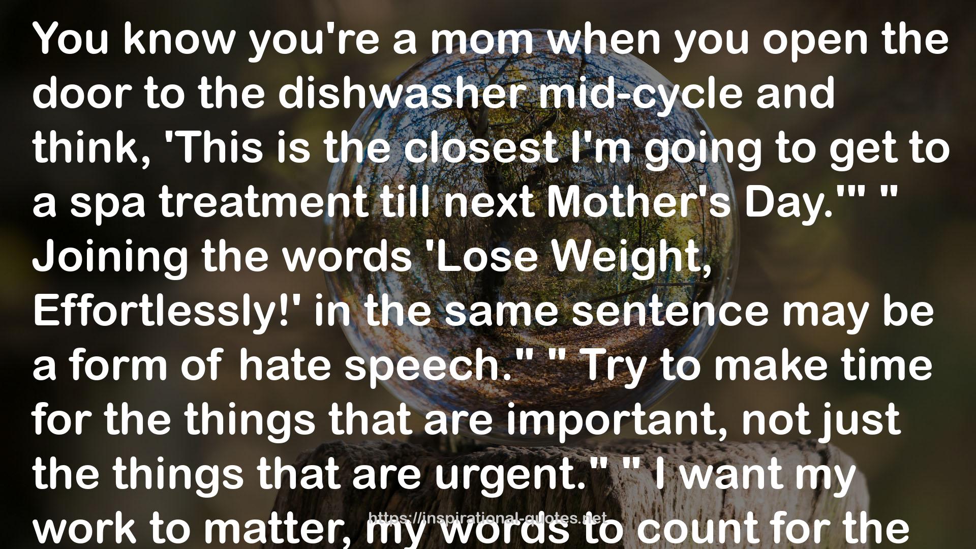 the dishwasher mid-cycle  QUOTES