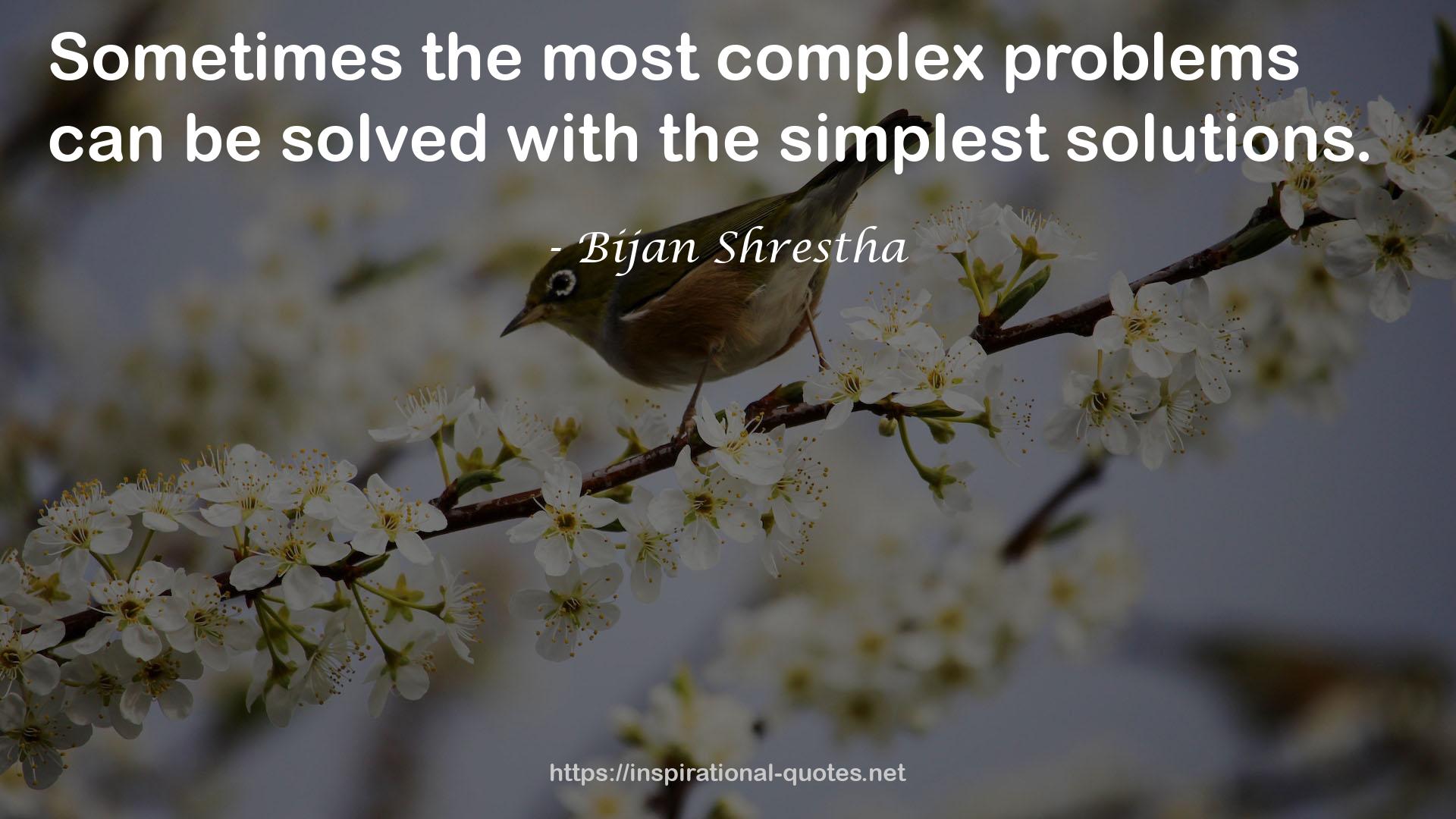 Bijan Shrestha QUOTES