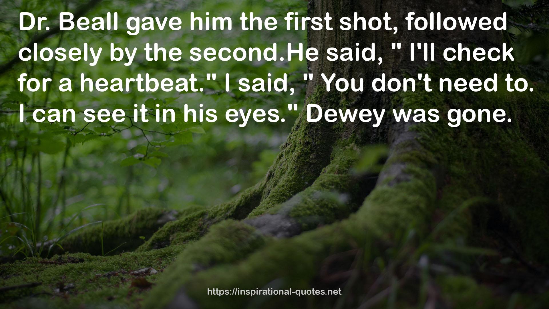 Dewey  QUOTES