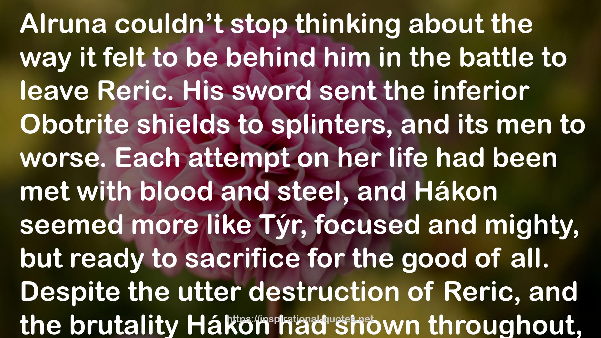 Hákon's Desire: A Viking Conquest QUOTES