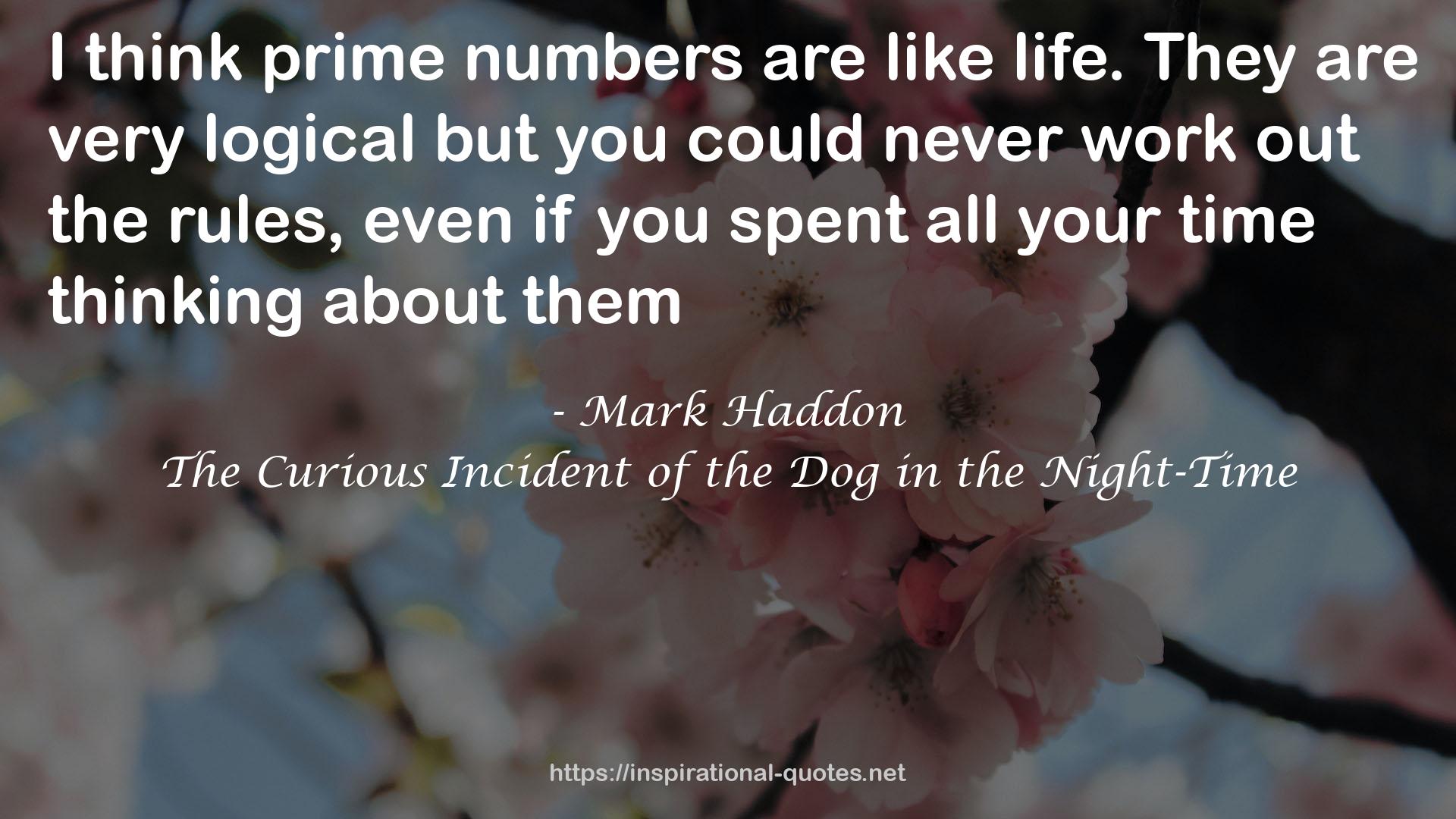 The Curious Incident of the Dog in the Night-Time QUOTES