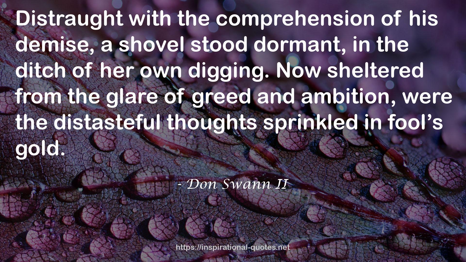 Don Swann II QUOTES