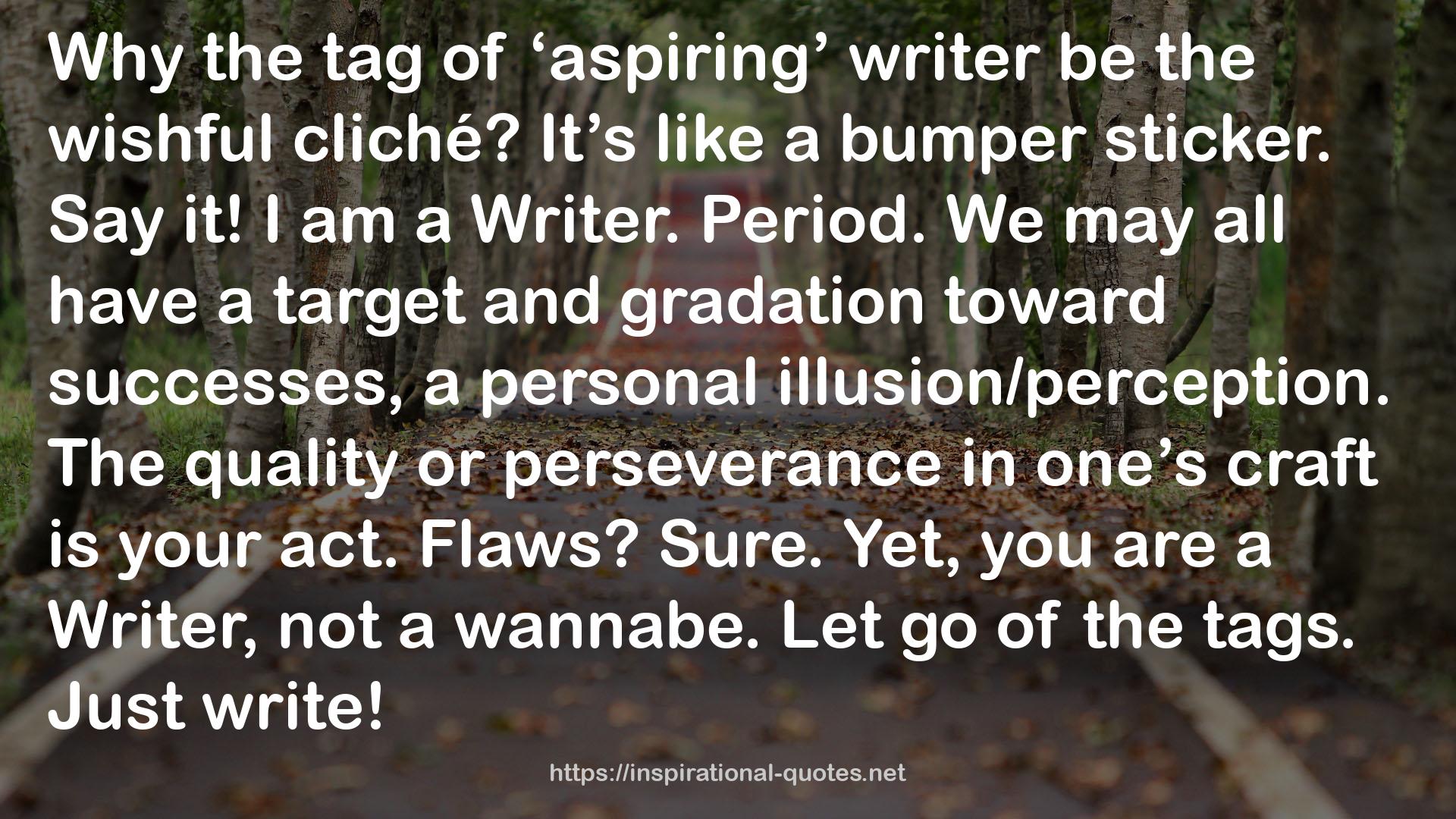 ‘aspiring’ writer  QUOTES