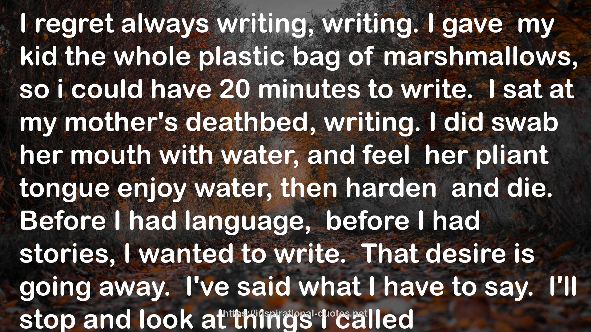 the whole plastic bag  QUOTES