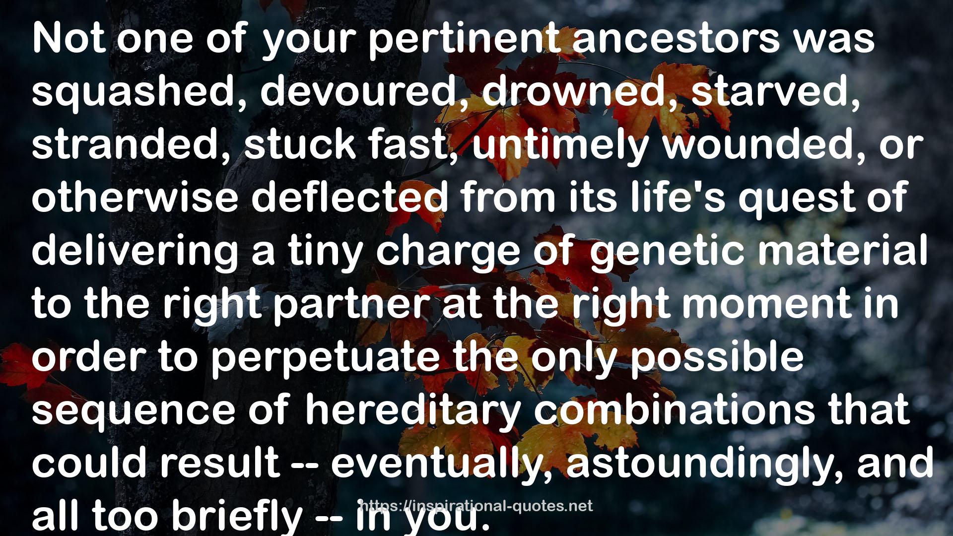 ancestors  QUOTES