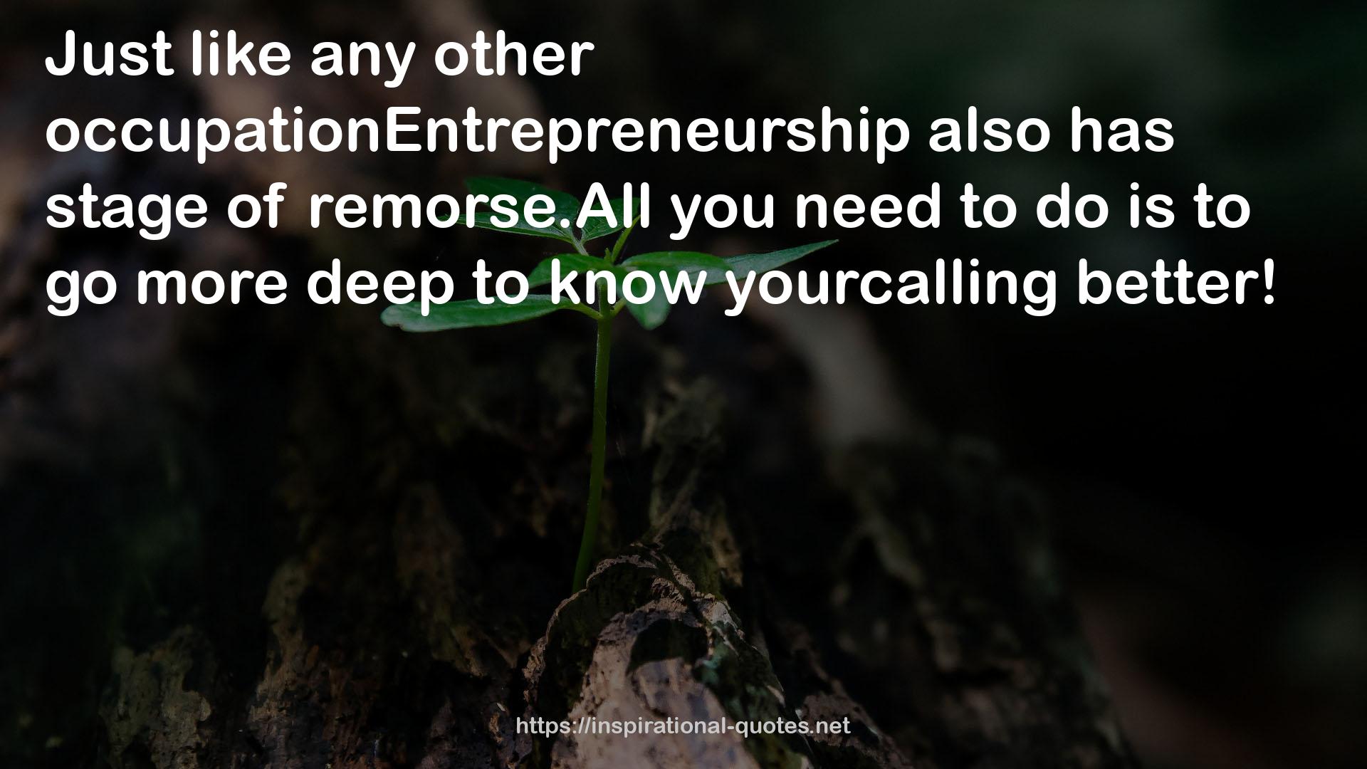 occupationEntrepreneurship  QUOTES