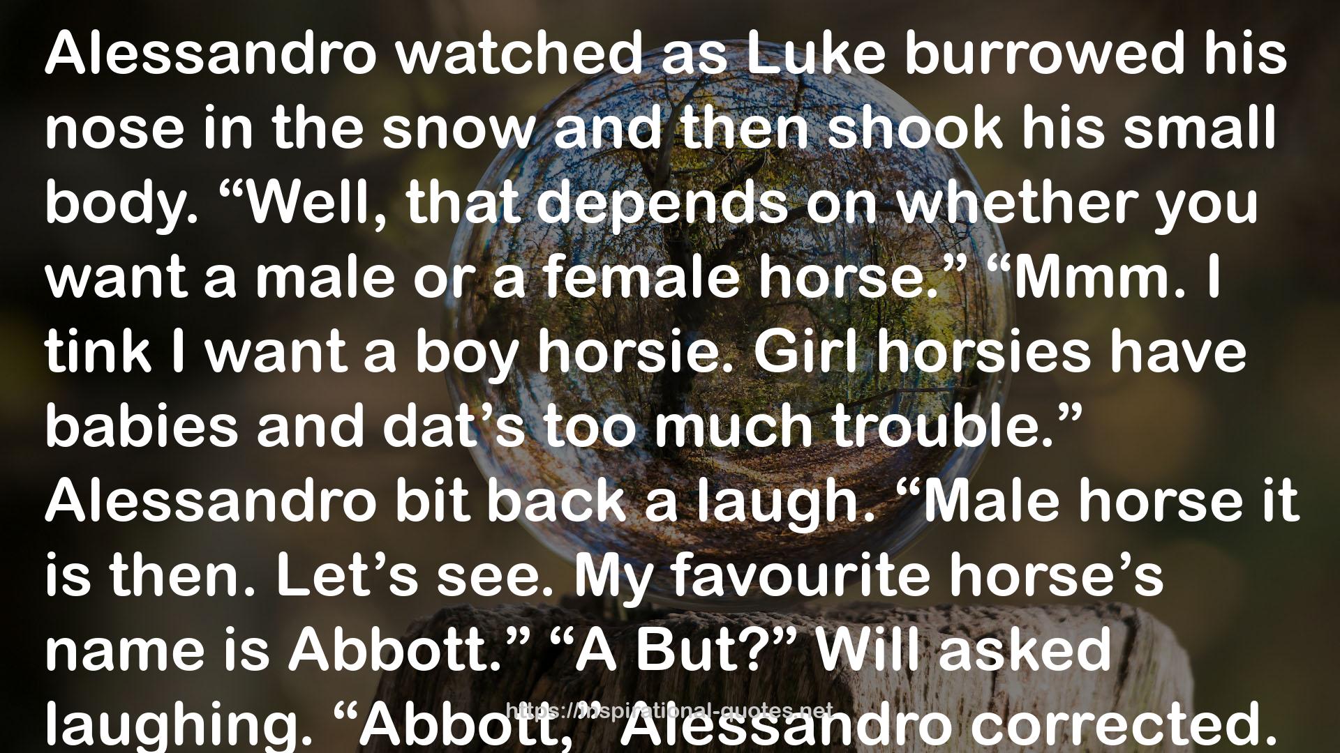 horsies  QUOTES