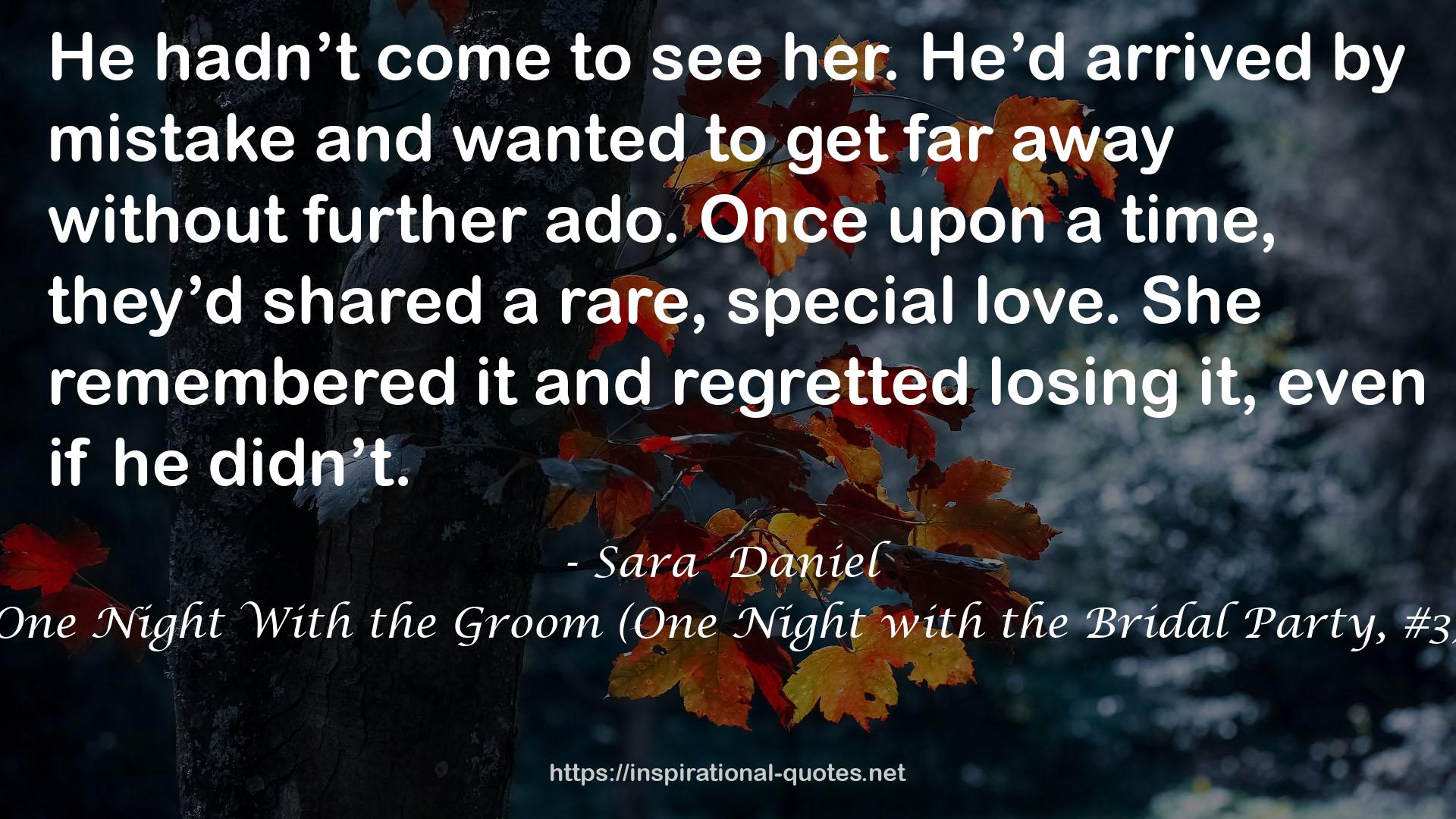 One Night With the Groom (One Night with the Bridal Party, #3) QUOTES