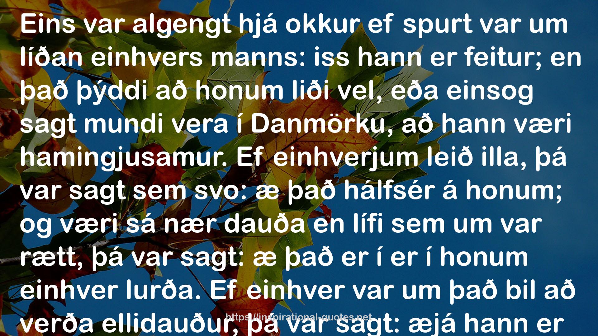 æjá hann er  QUOTES