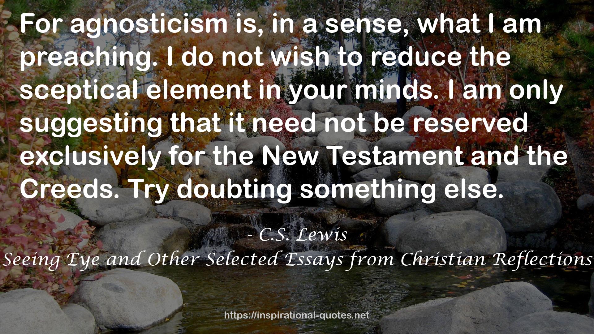 Seeing Eye and Other Selected Essays from Christian Reflections QUOTES