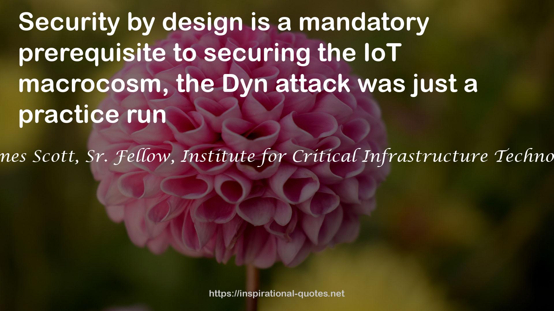 the Dyn attack  QUOTES