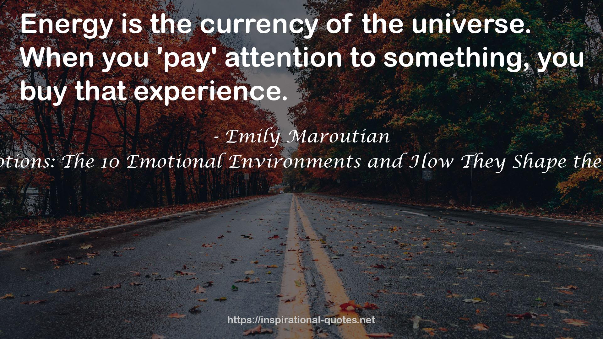 The Energy of Emotions: The 10 Emotional Environments and How They Shape the World Around Us QUOTES