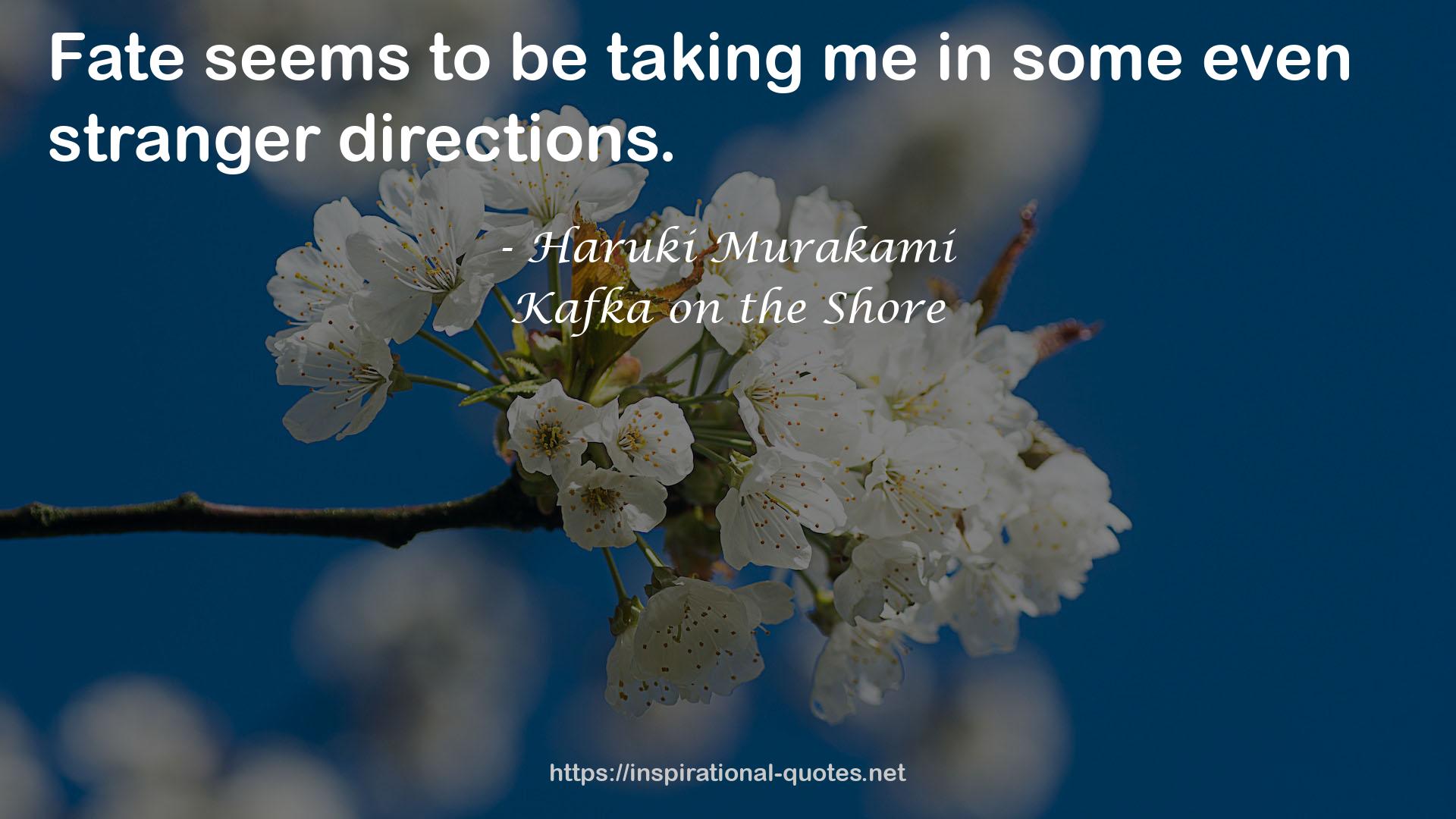 Kafka on the Shore QUOTES