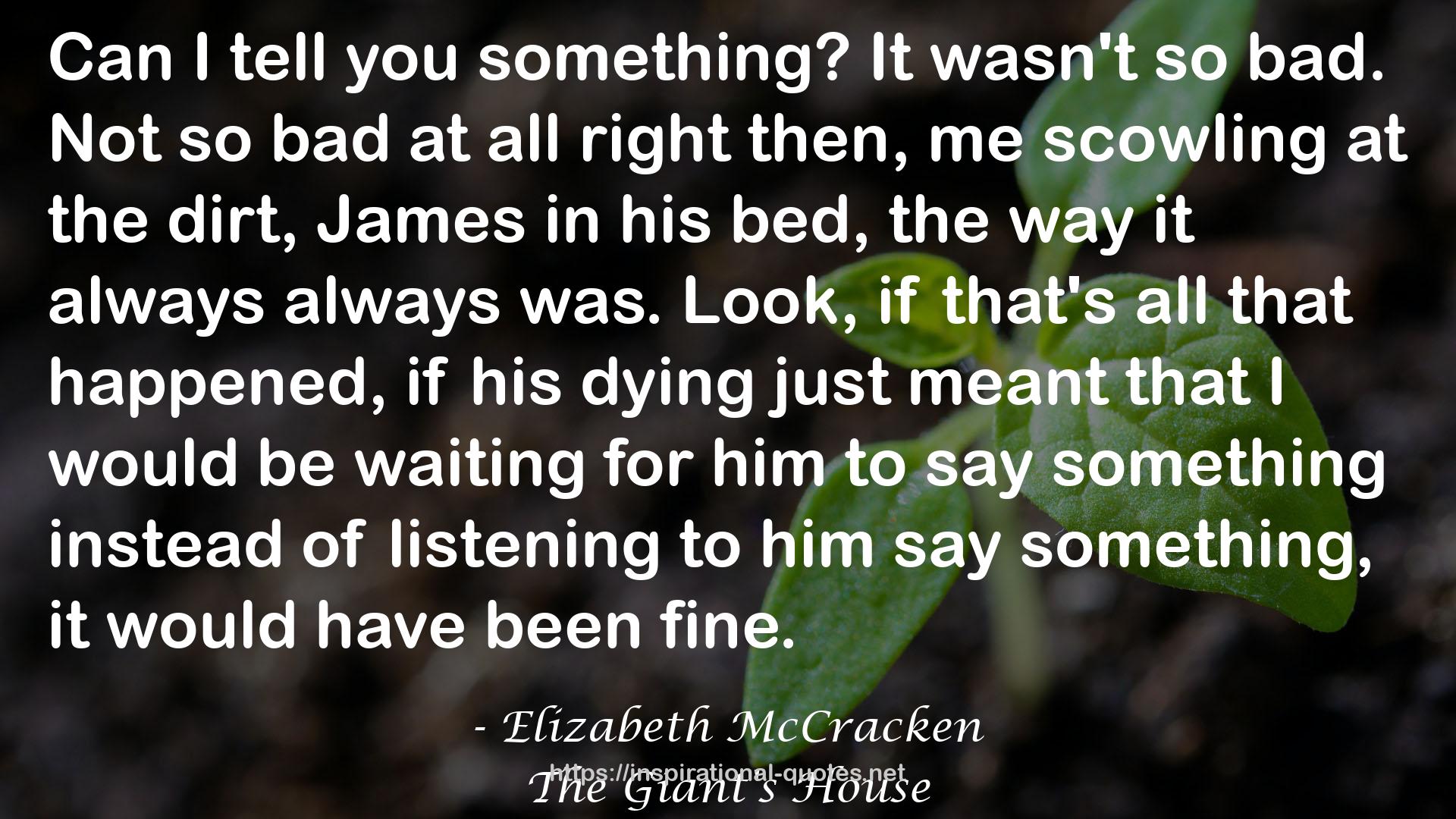 Elizabeth McCracken QUOTES