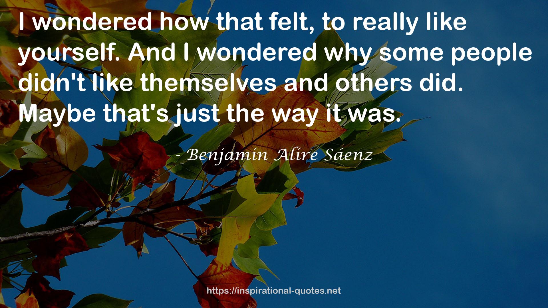 Benjamin Alire Sáenz QUOTES