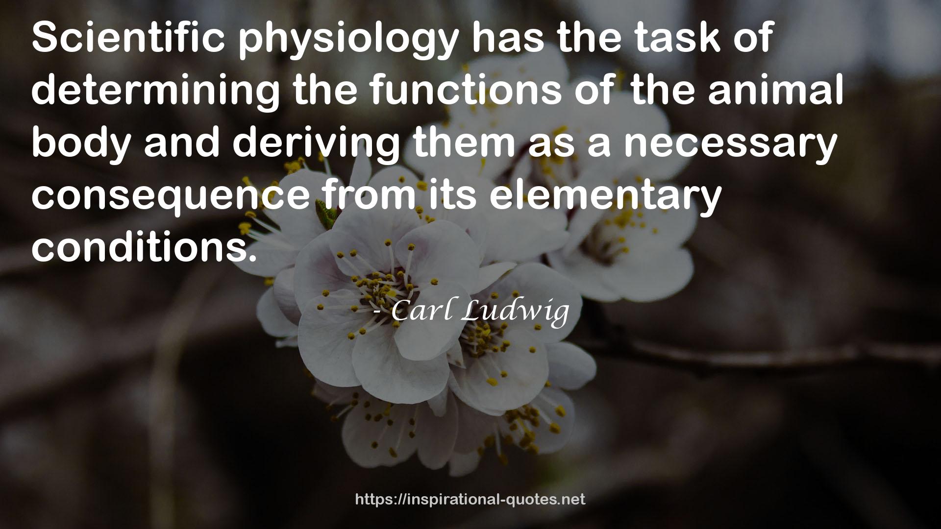 Carl Ludwig QUOTES