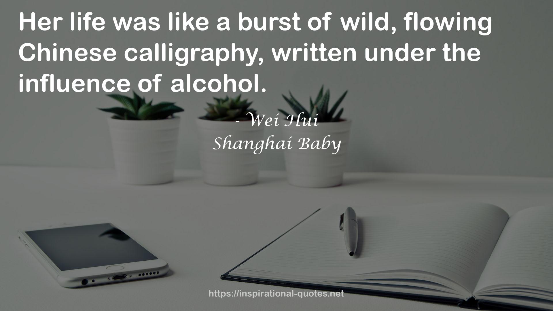 Shanghai Baby QUOTES