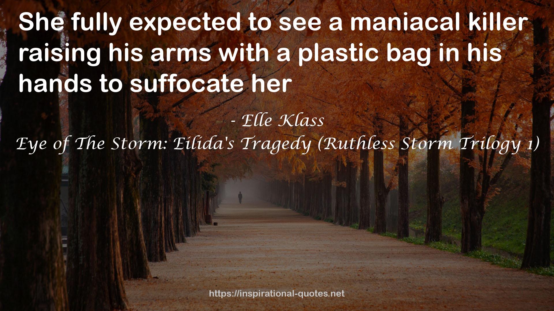Eye of The Storm: Eilida's Tragedy (Ruthless Storm Trilogy 1) QUOTES