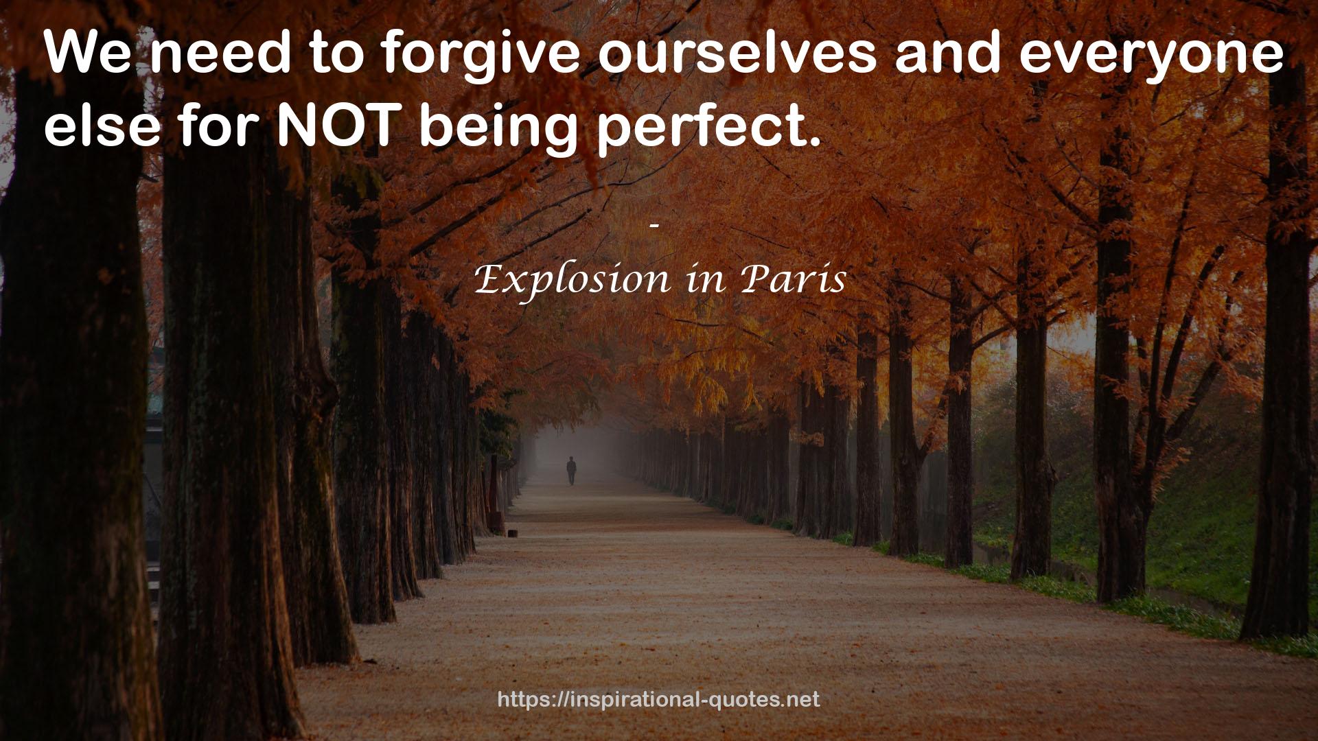 Explosion in Paris QUOTES