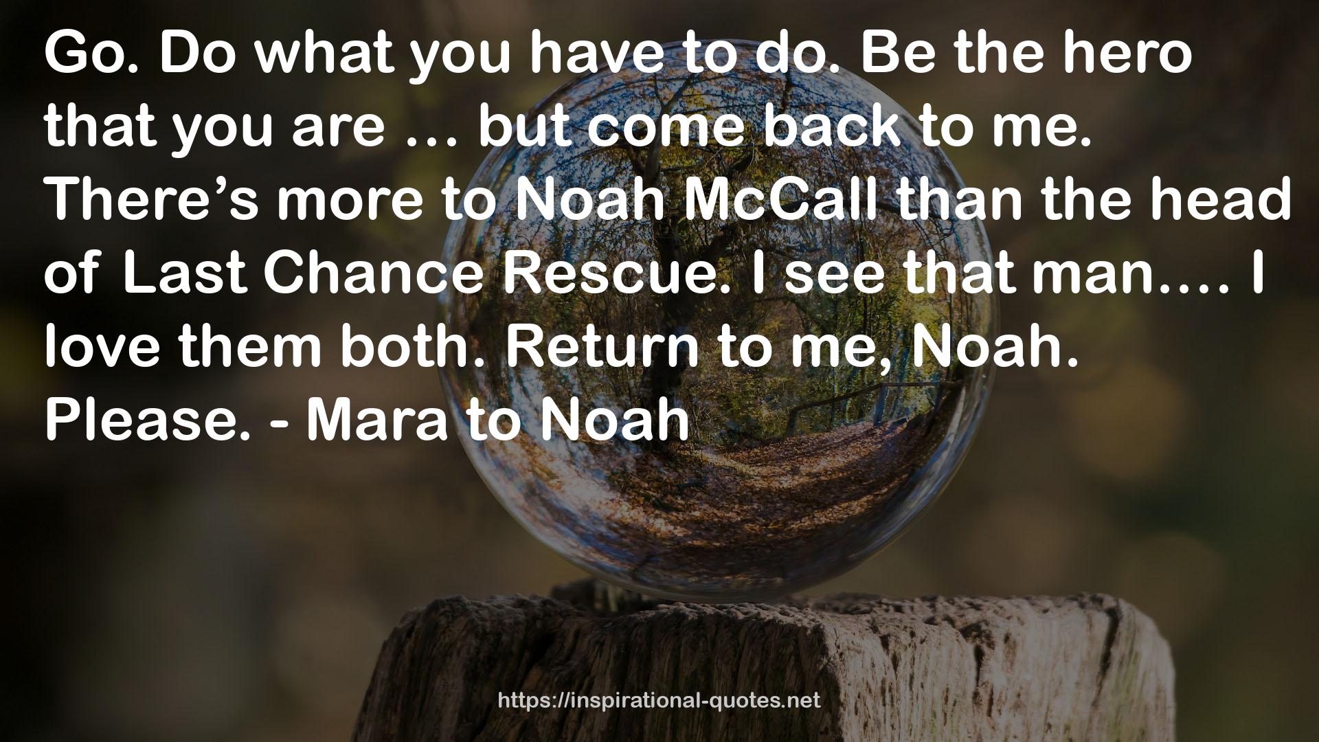 Noah McCall  QUOTES