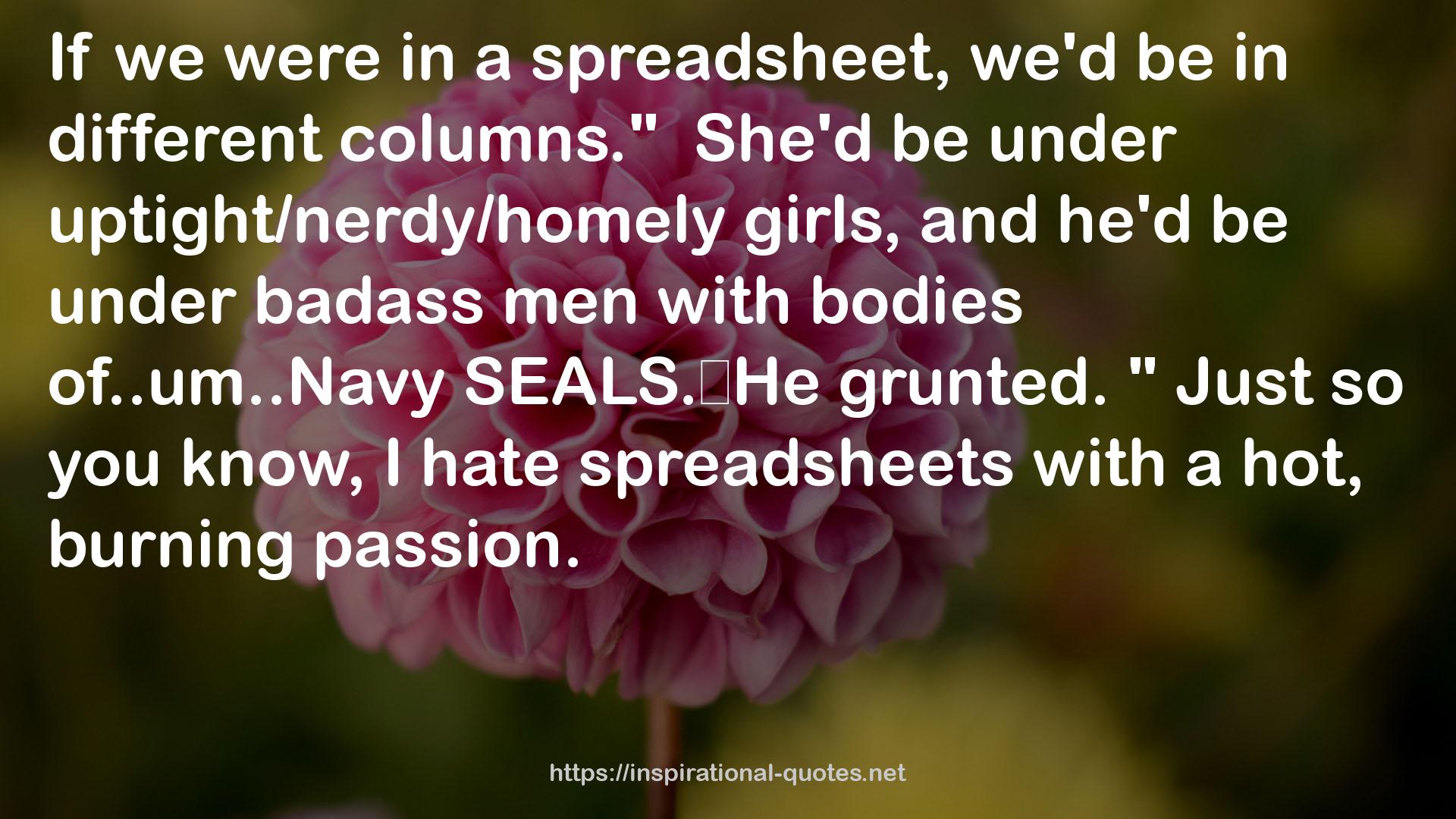 spreadsheets  QUOTES