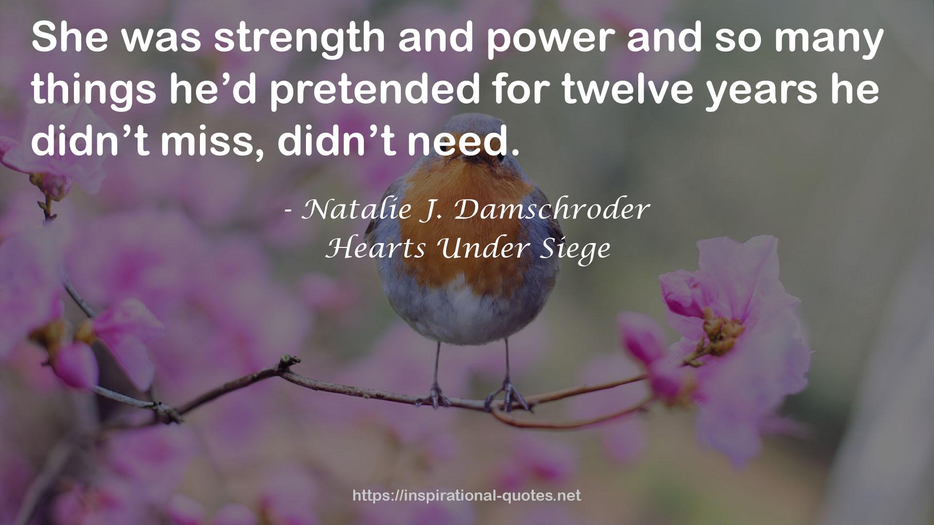 Natalie J. Damschroder QUOTES