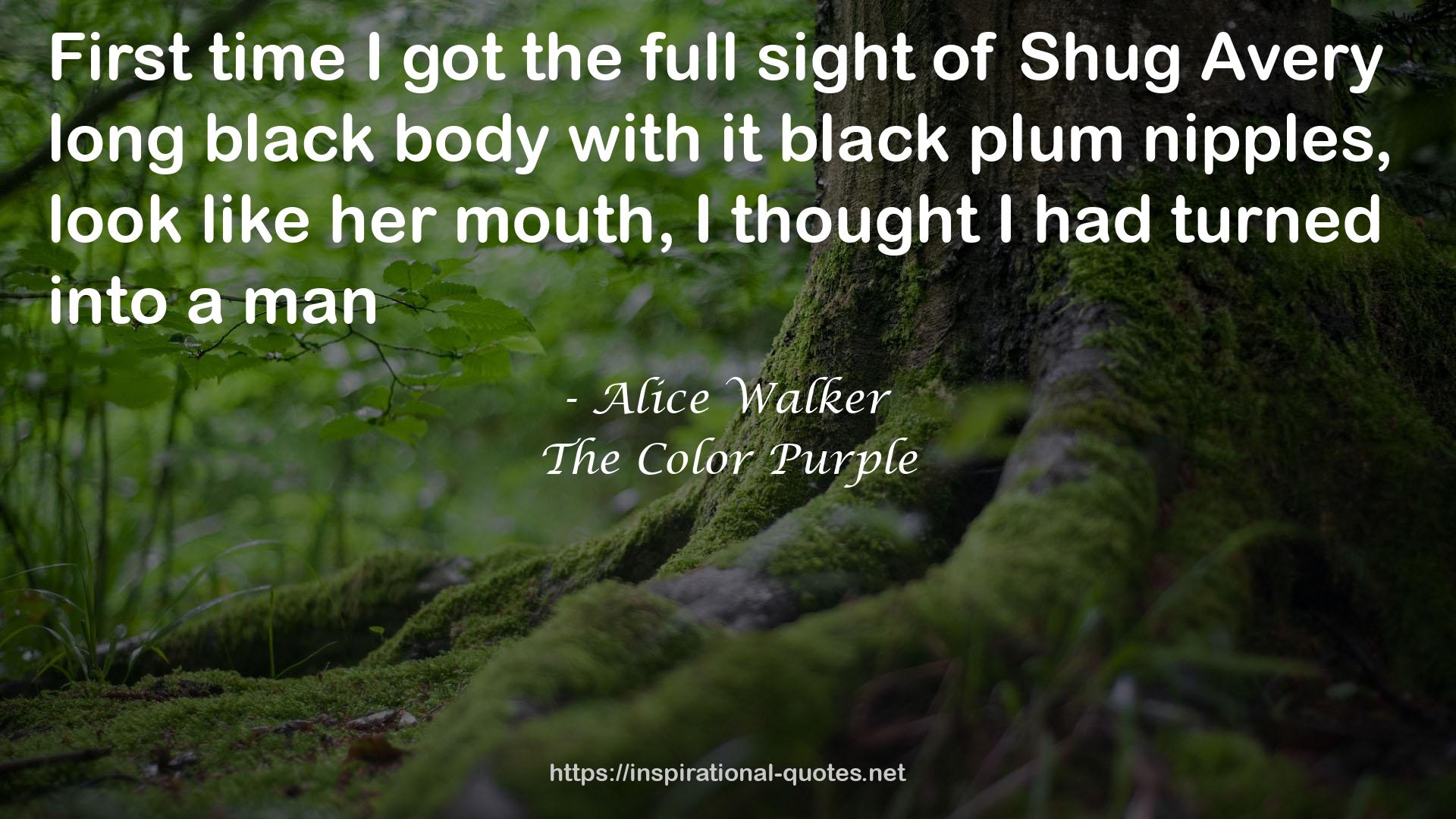 Shug Avery long black body  QUOTES