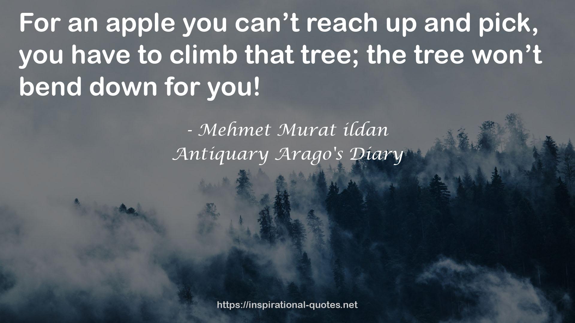 Mehmet Murat ildan QUOTES